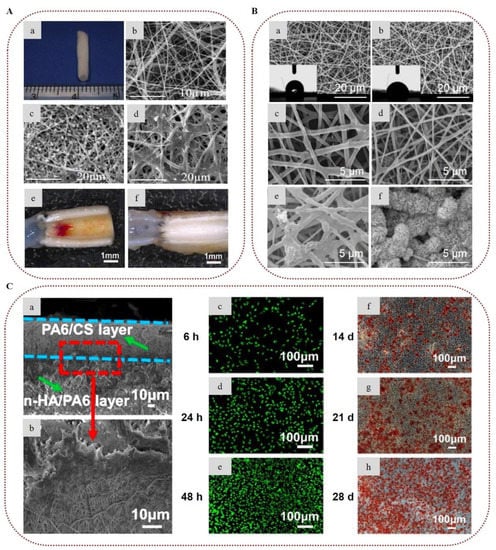Marinedrugs 20 00314 g008