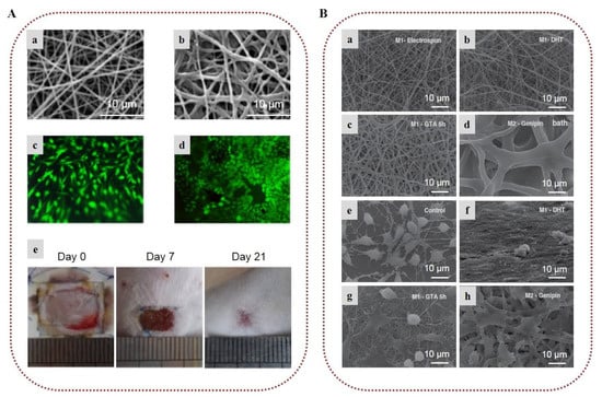Marinedrugs 20 00314 g009
