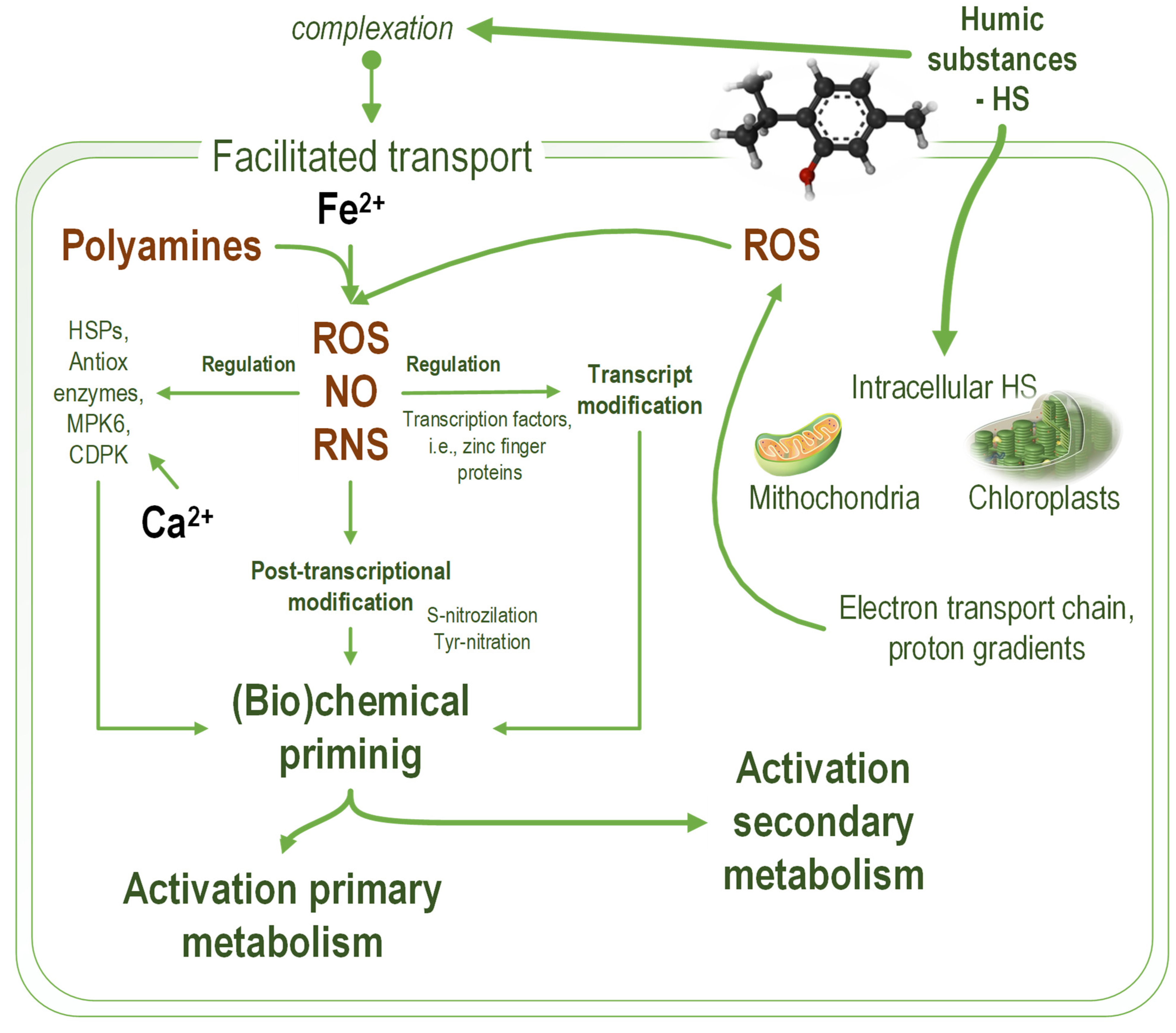 Marinedrugs 20 00327 g001