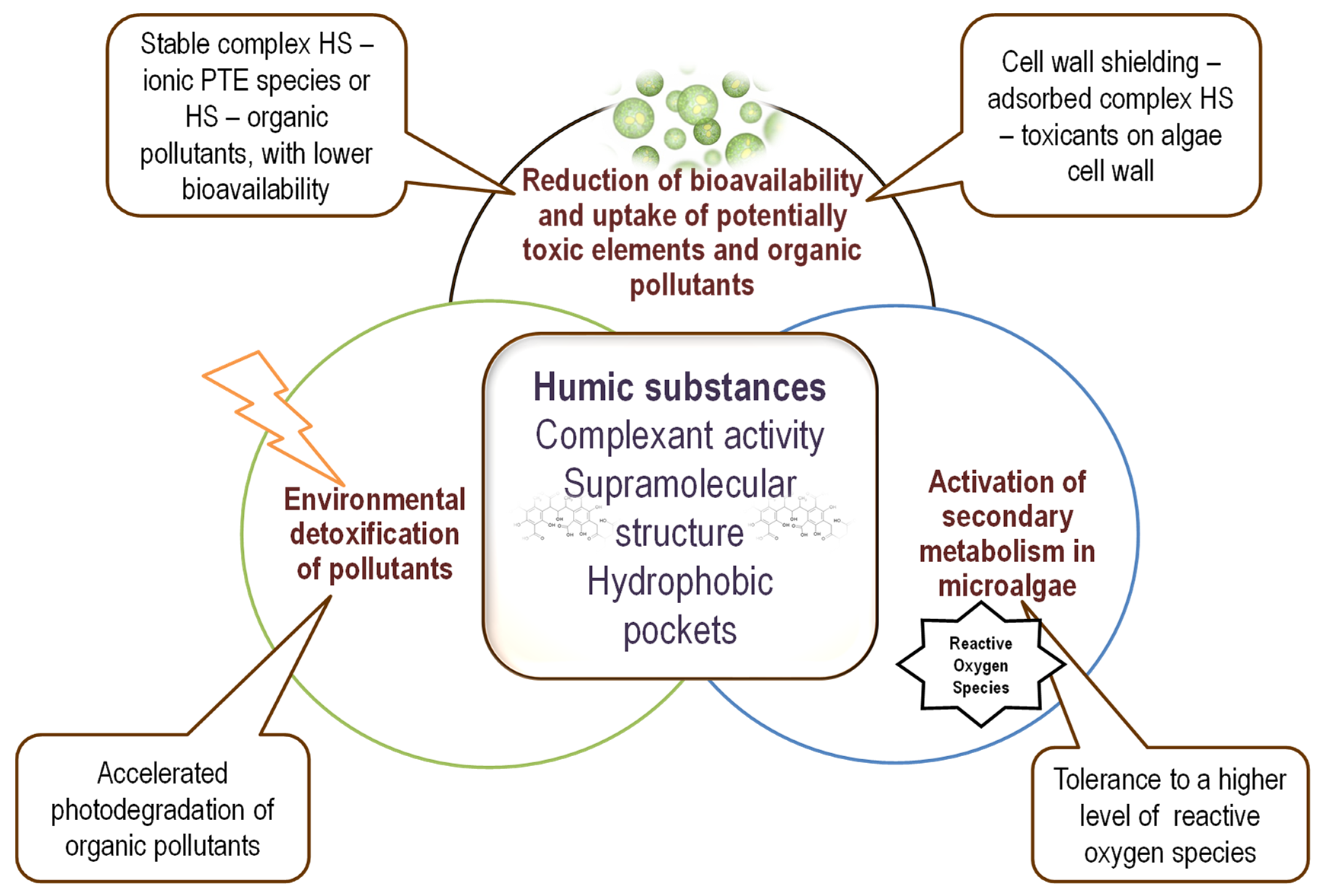 Marinedrugs 20 00327 g002