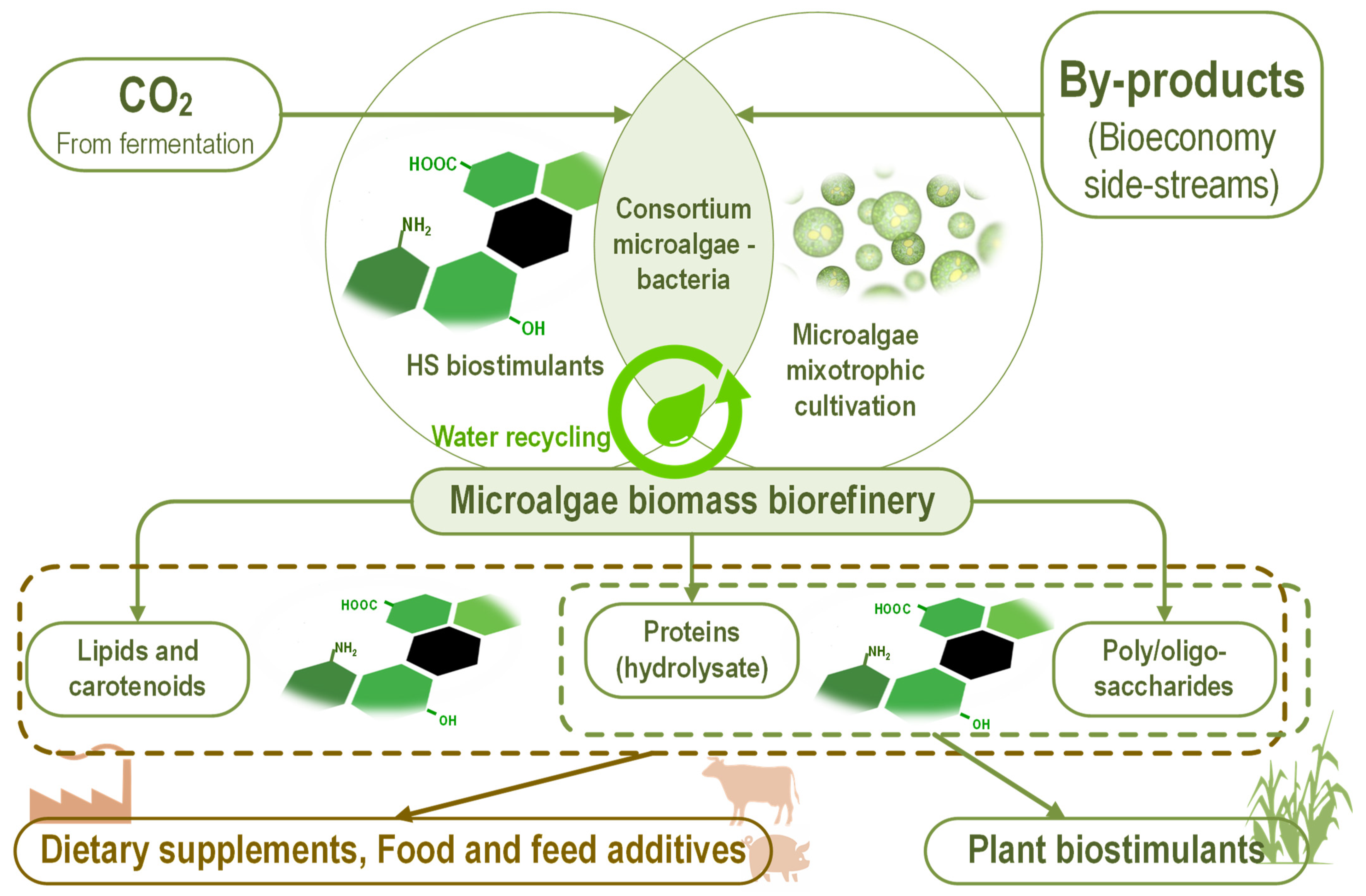 Marinedrugs 20 00327 g004