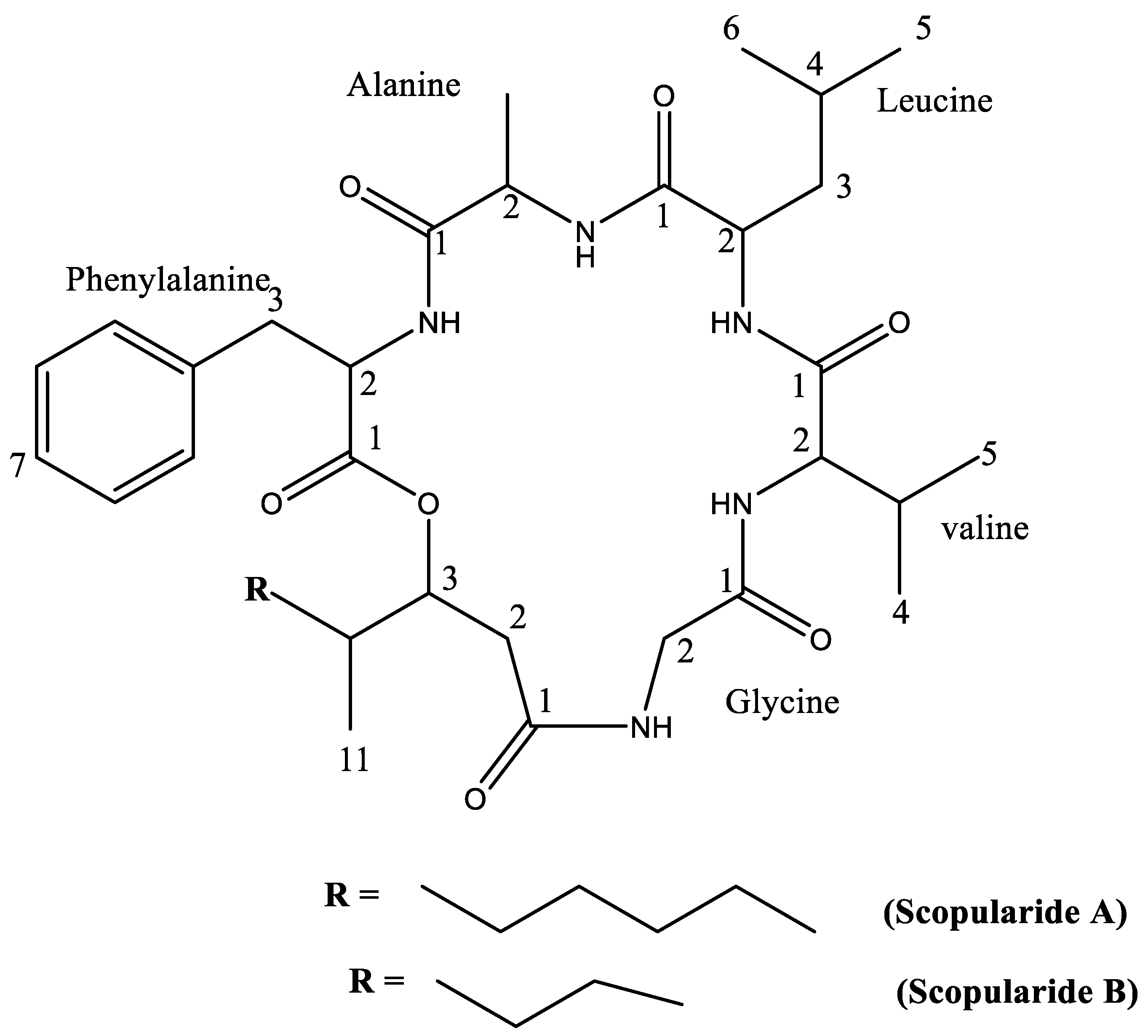 Marinedrugs 20 00331 g001