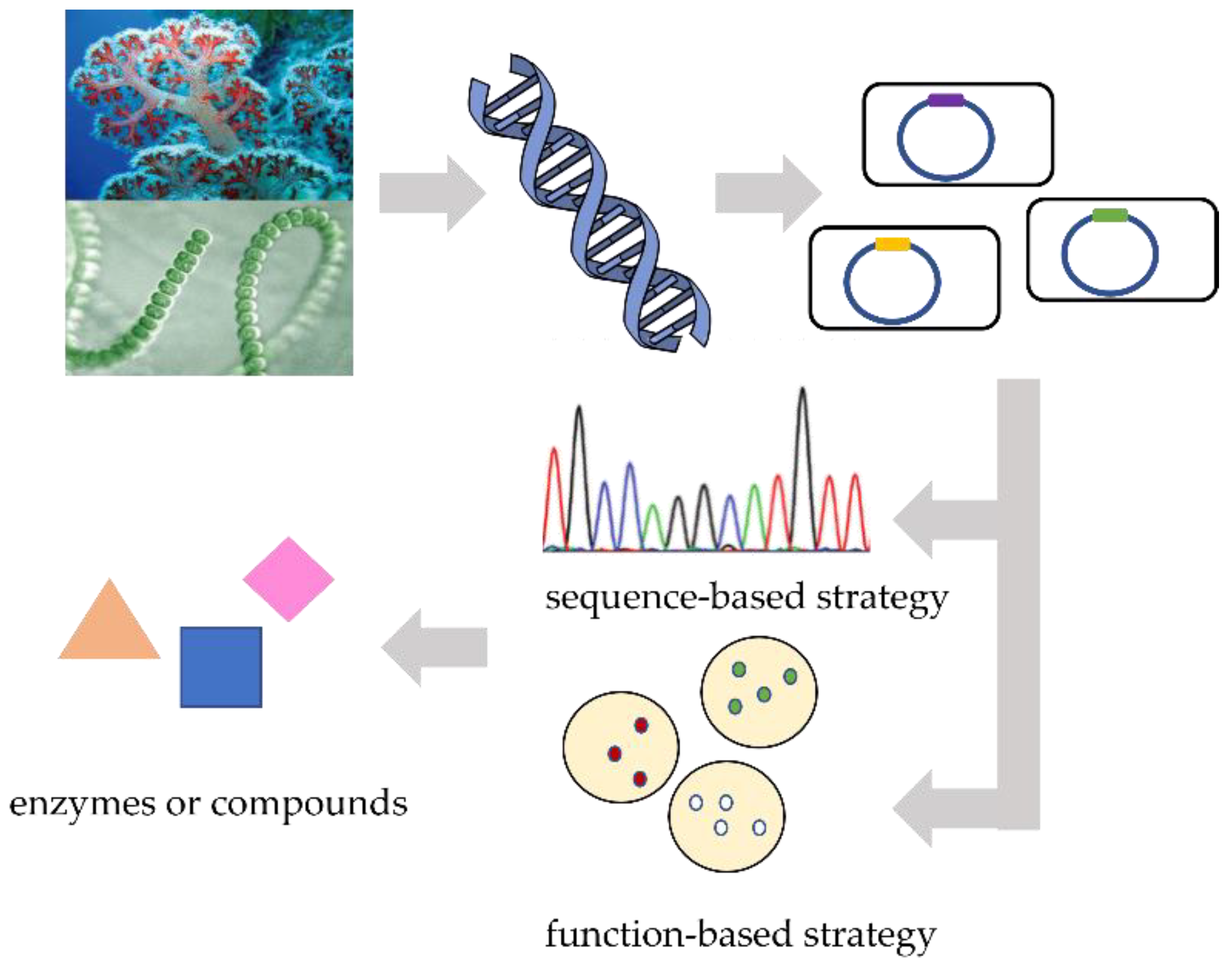 Marinedrugs 20 00341 g001