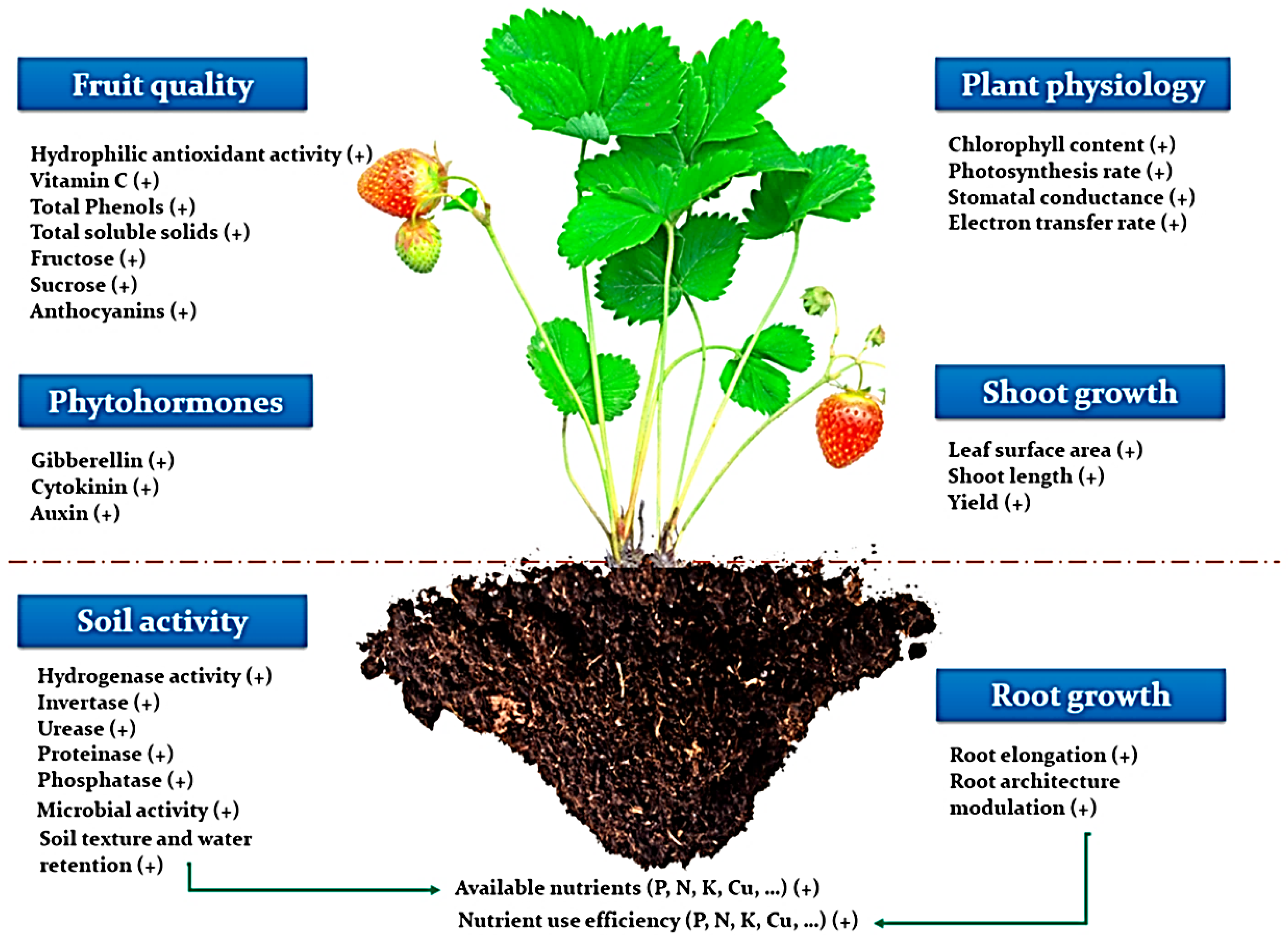 Marinedrugs 20 00342 g010