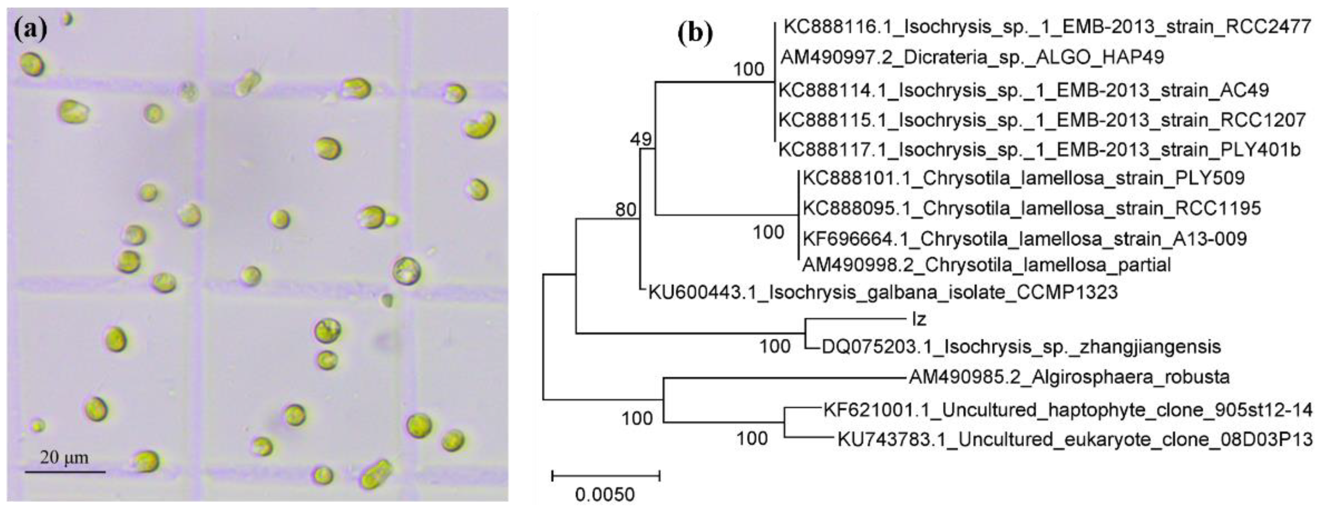 Marinedrugs 20 00351 g001