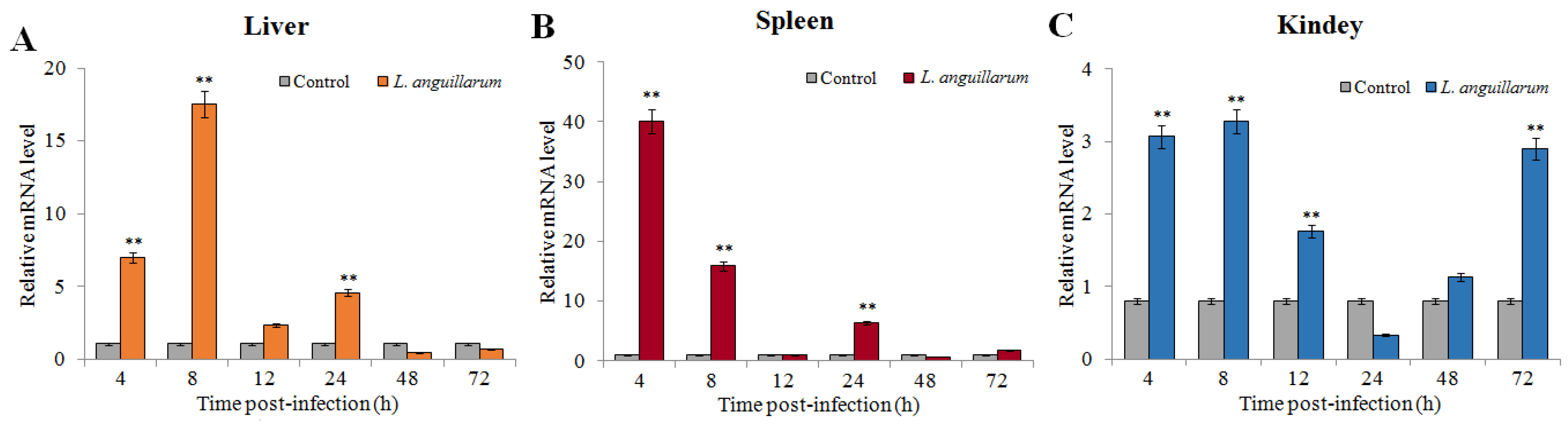 Marinedrugs 20 00353 g003
