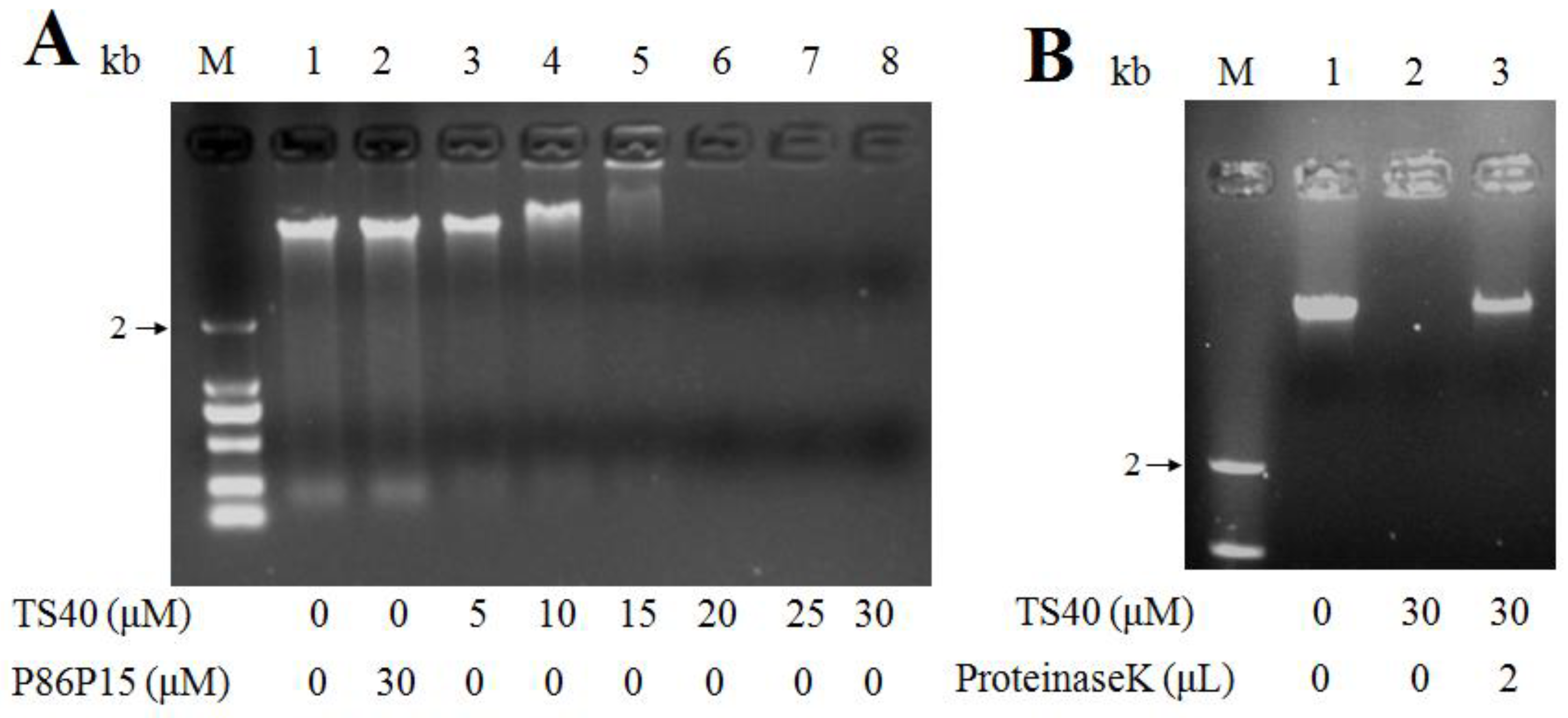 Marinedrugs 20 00353 g007