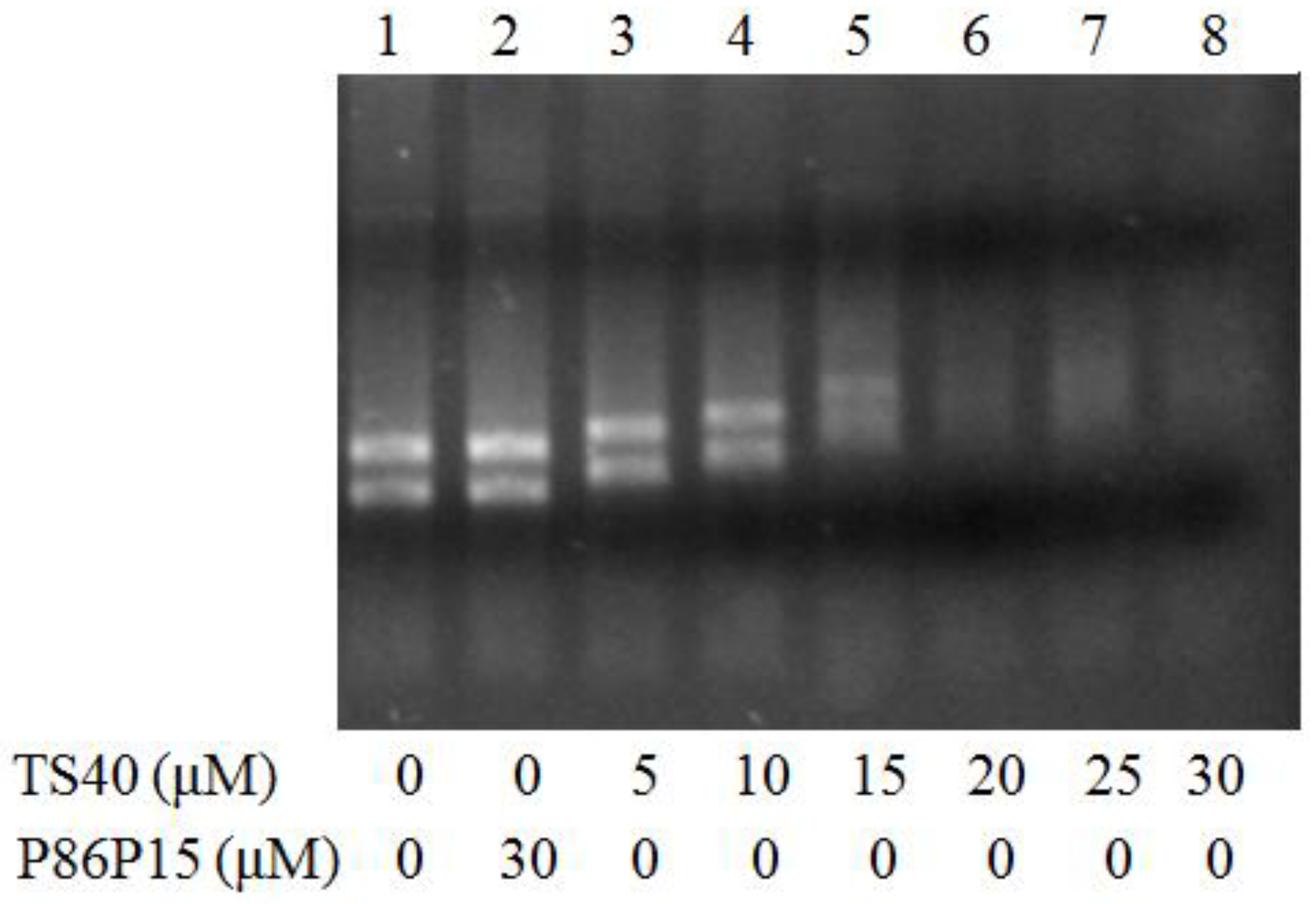 Marinedrugs 20 00353 g008