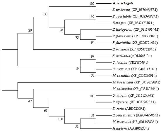 Marinedrugs 20 00353 g0a3
