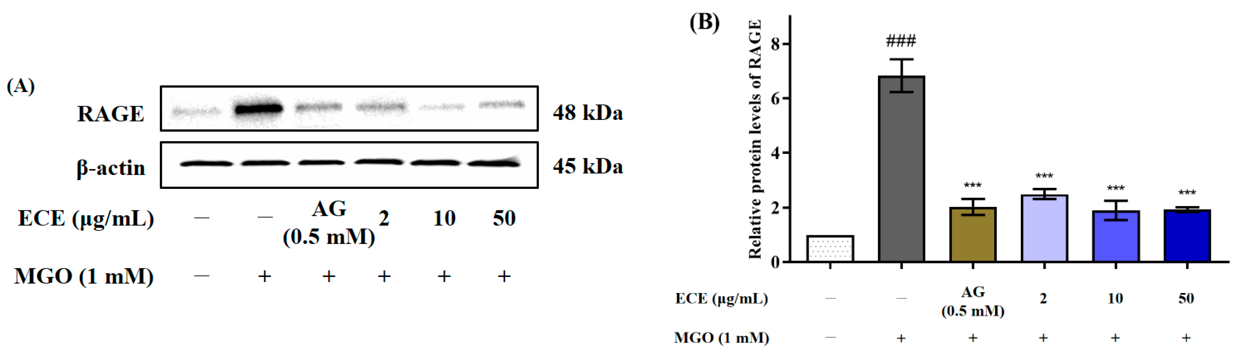 Marinedrugs 20 00355 g005