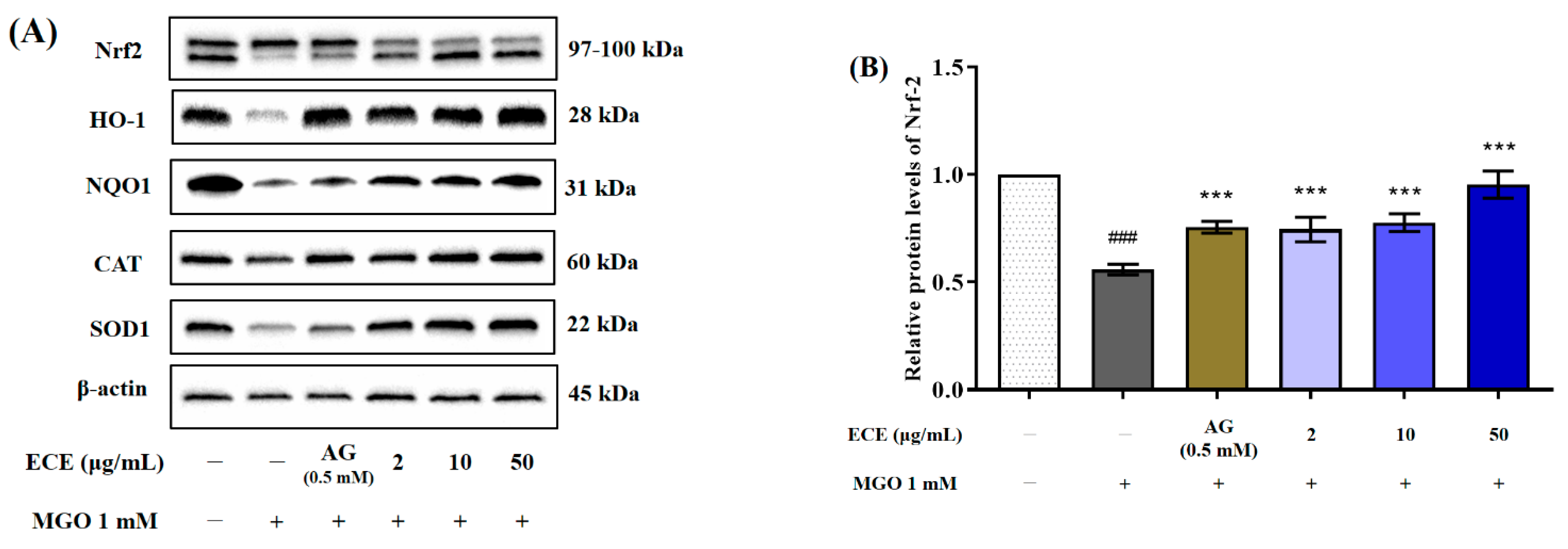 Marinedrugs 20 00355 g006a