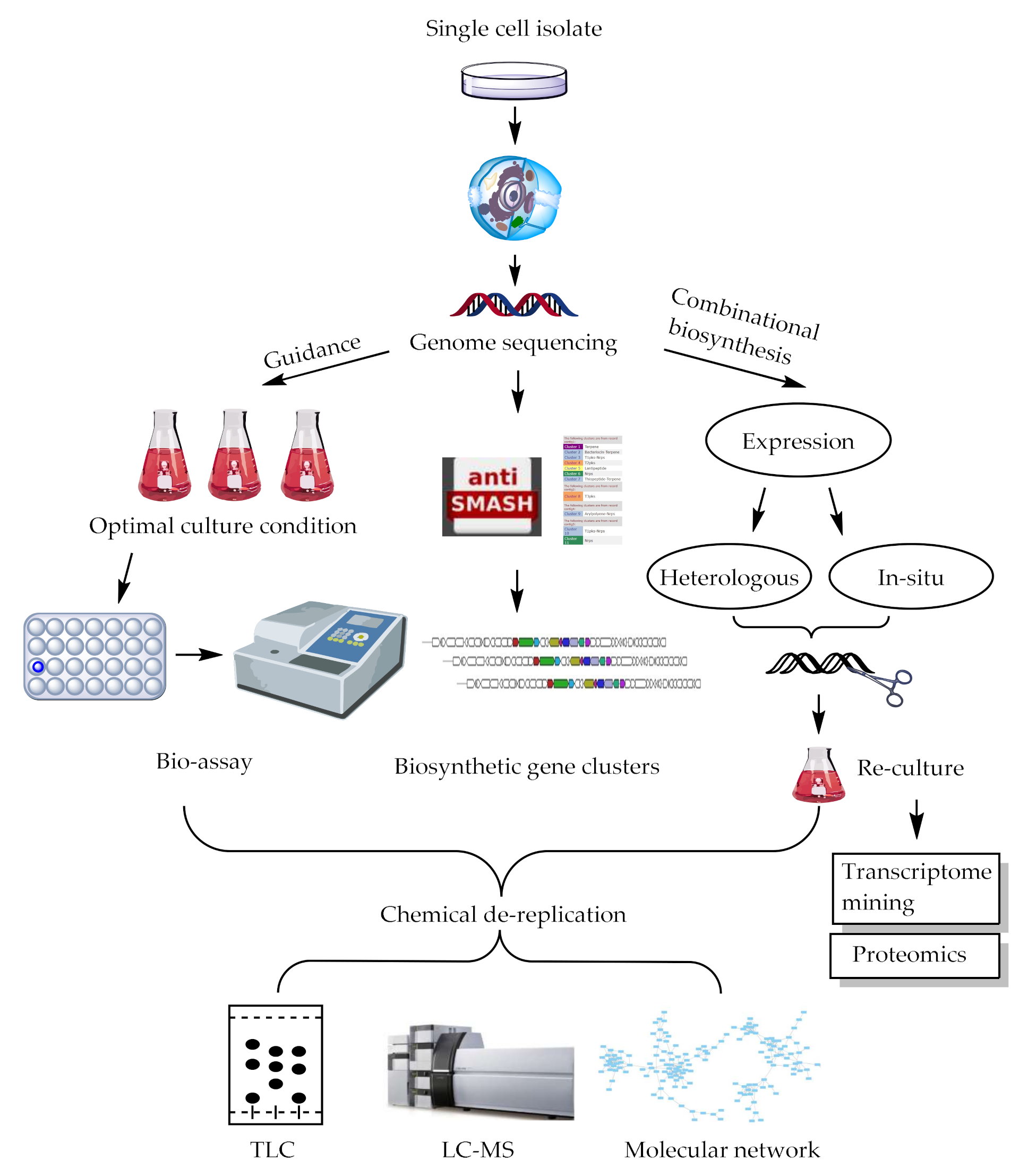 Marinedrugs 20 00360 g004