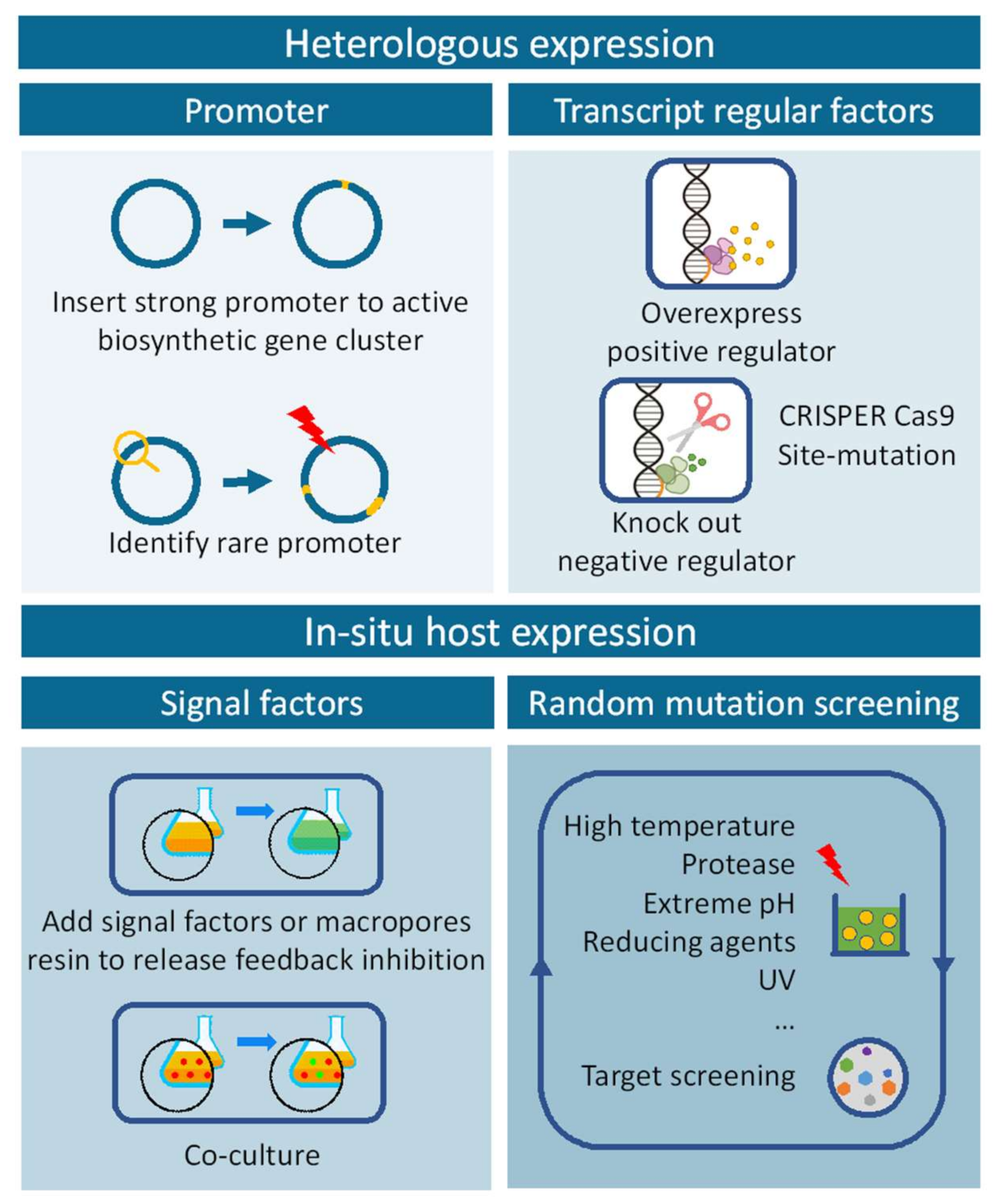 Marinedrugs 20 00360 g005