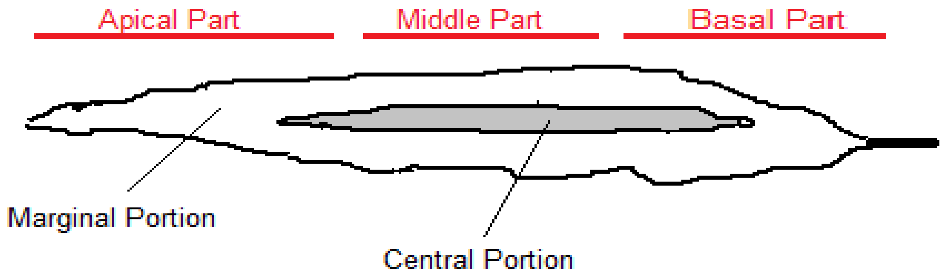 Marinedrugs 20 00364 g001