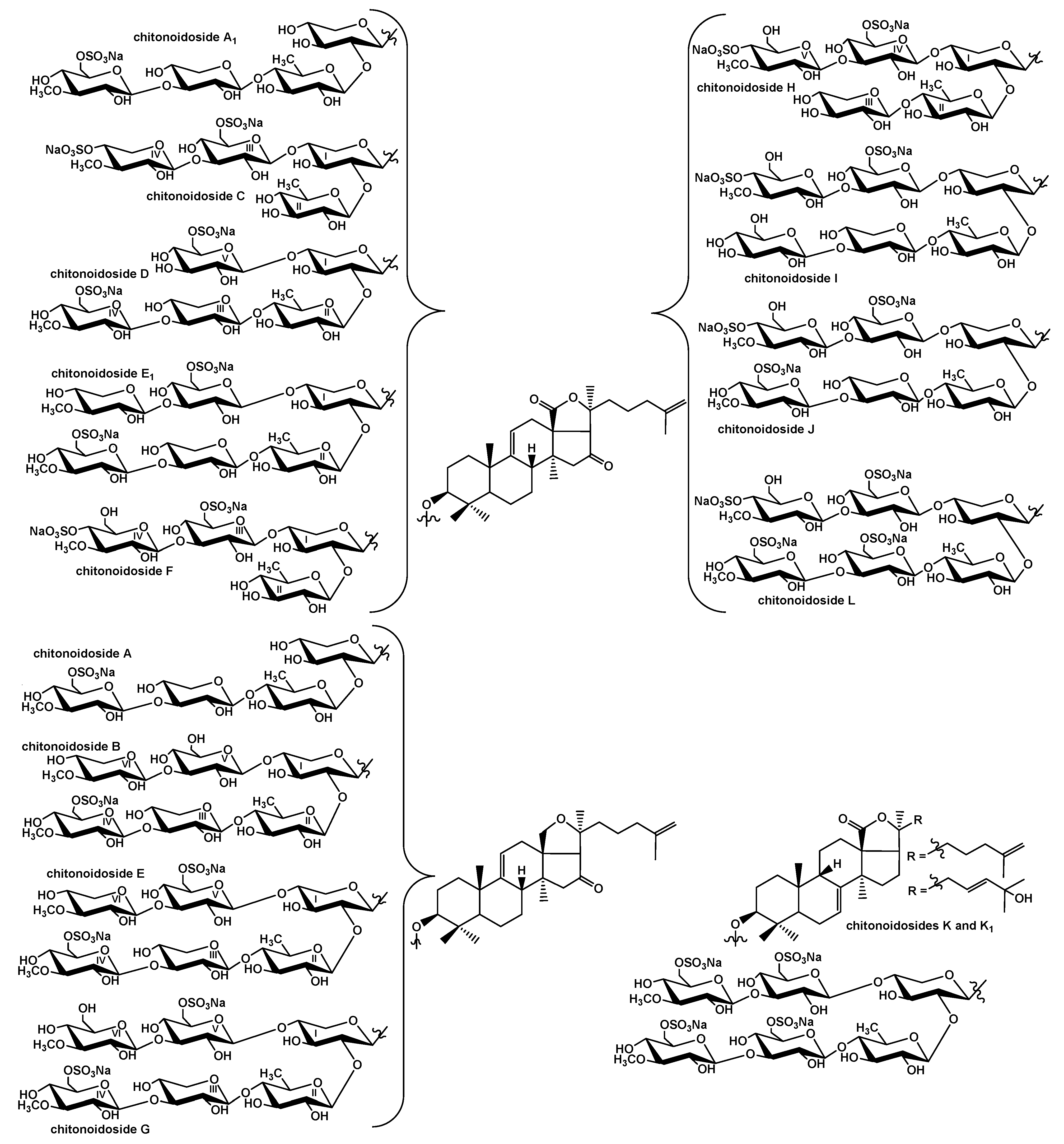 Marinedrugs 20 00369 g002