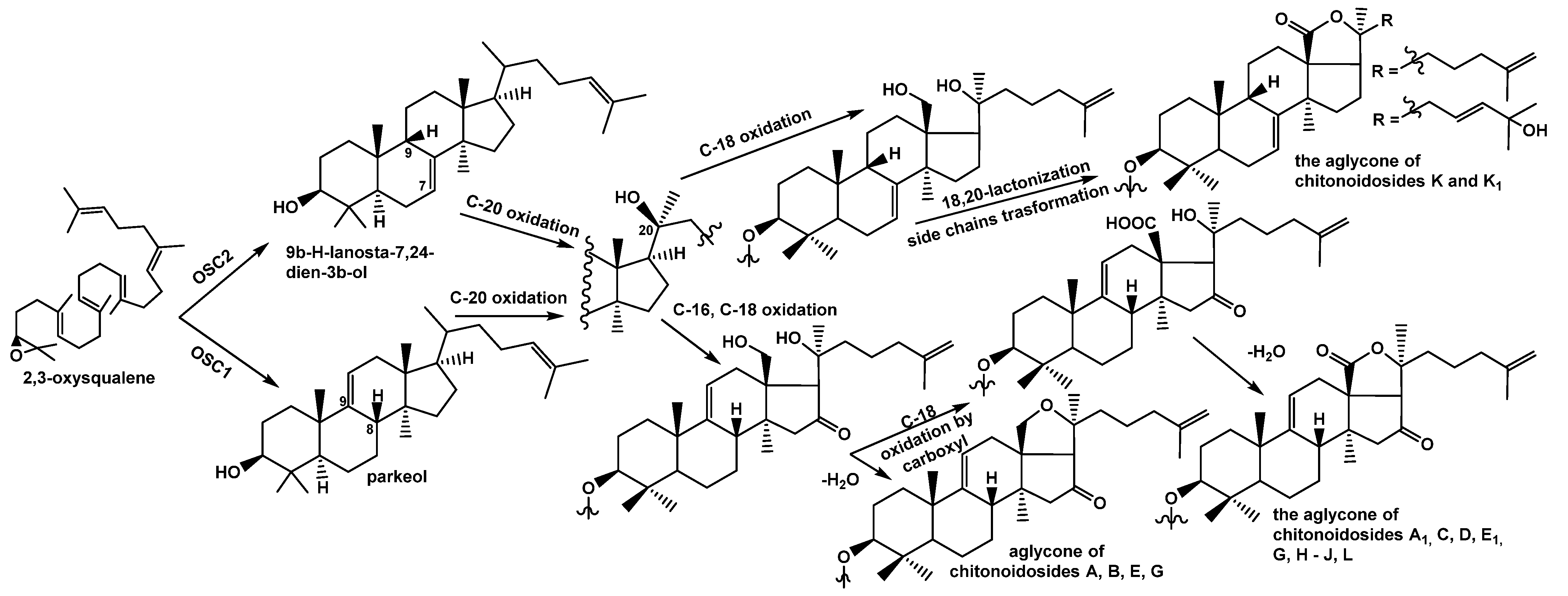 Marinedrugs 20 00369 g004