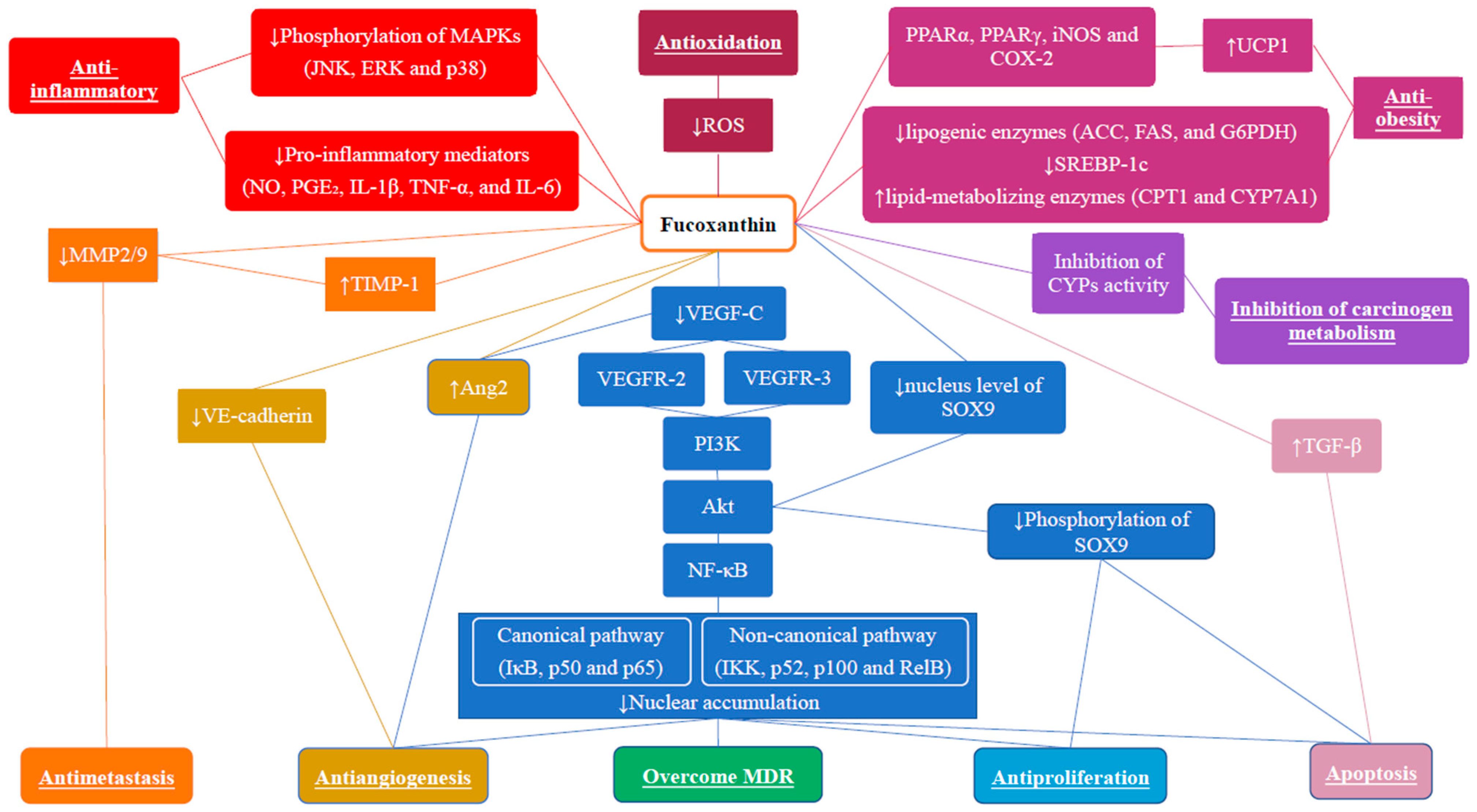 Marinedrugs 20 00370 g001 Marinedrugs 20 00370 g001