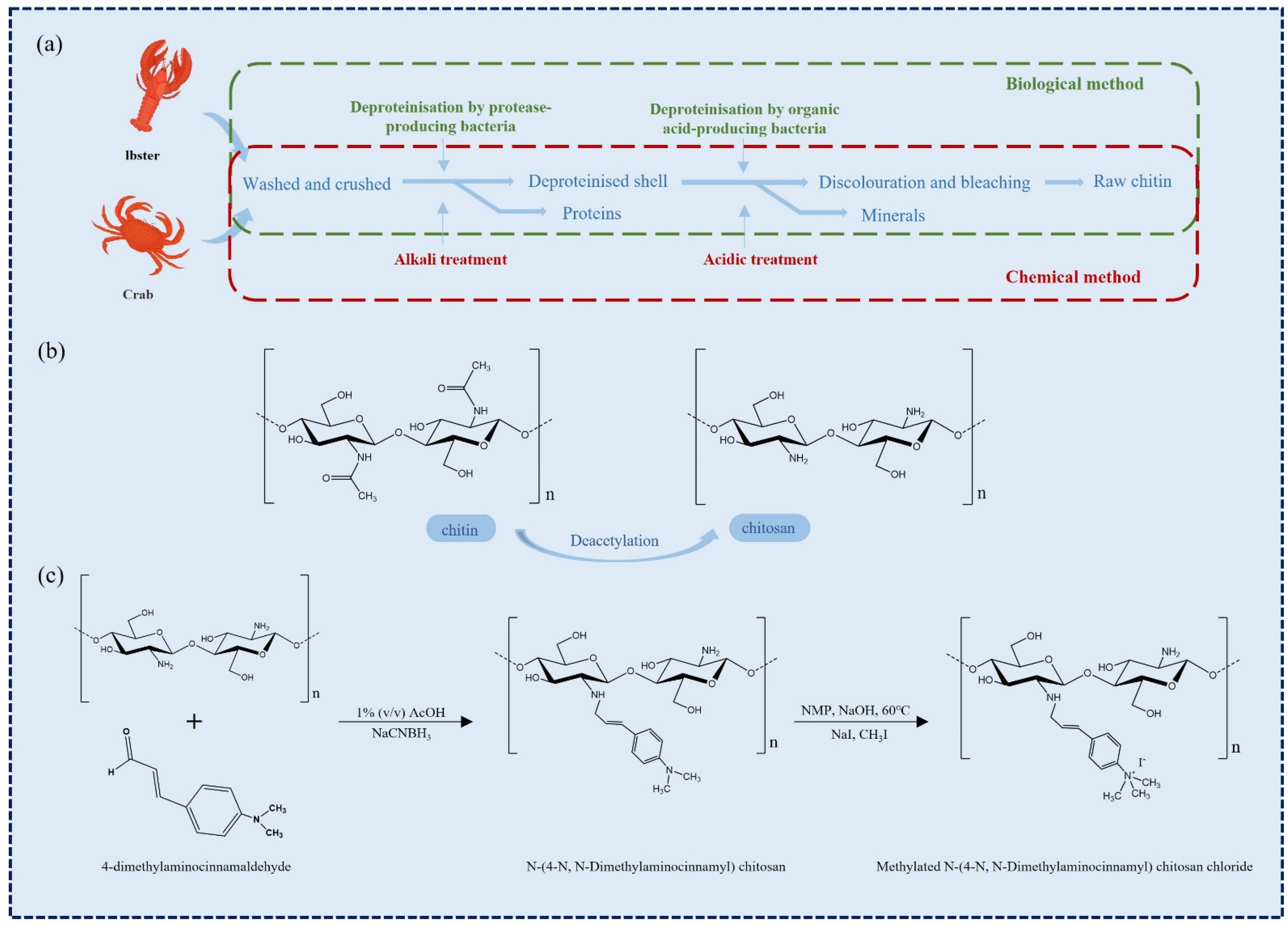 Marinedrugs 20 00372 g001