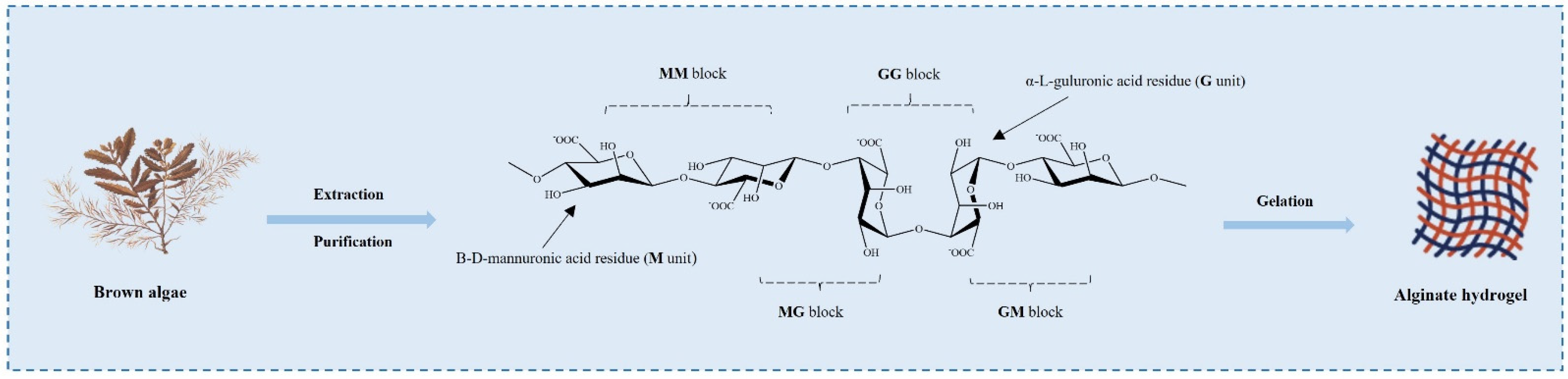 Marinedrugs 20 00372 g002