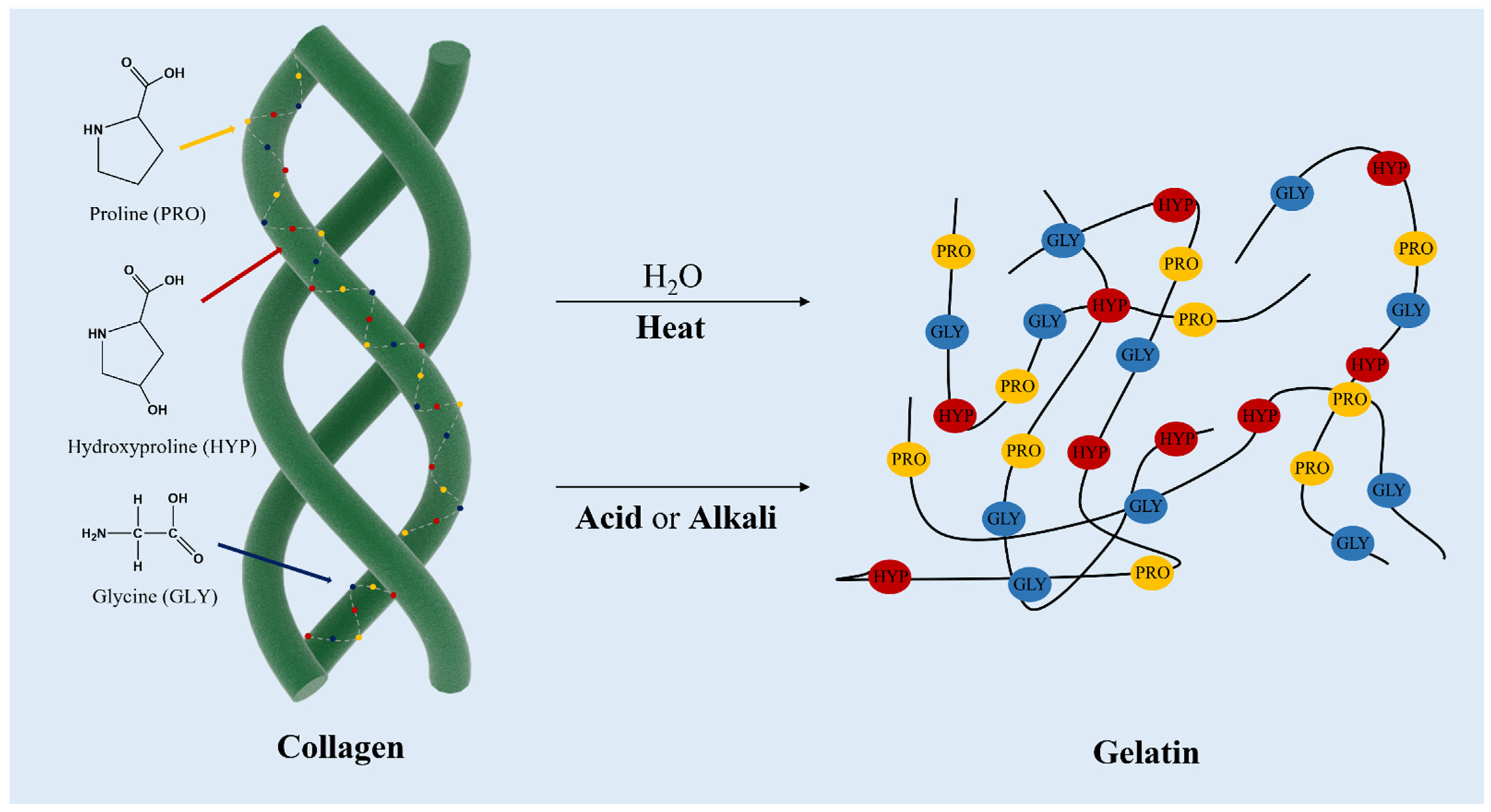 Marinedrugs 20 00372 g005
