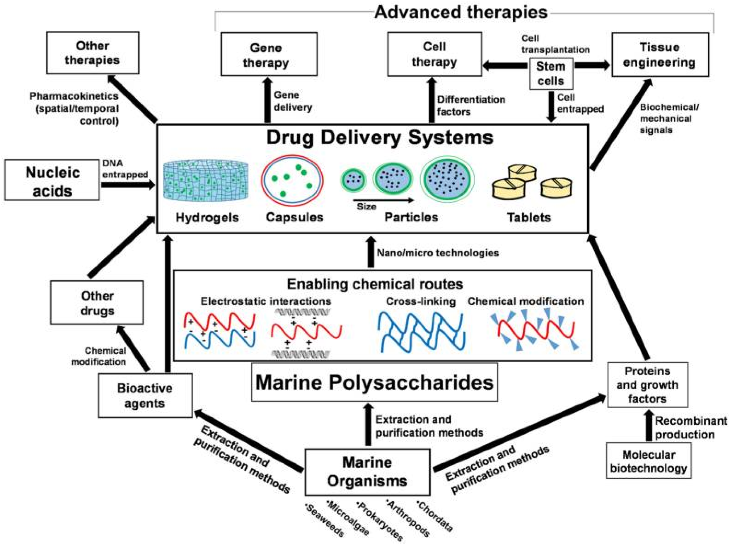Marinedrugs 20 00372 g007