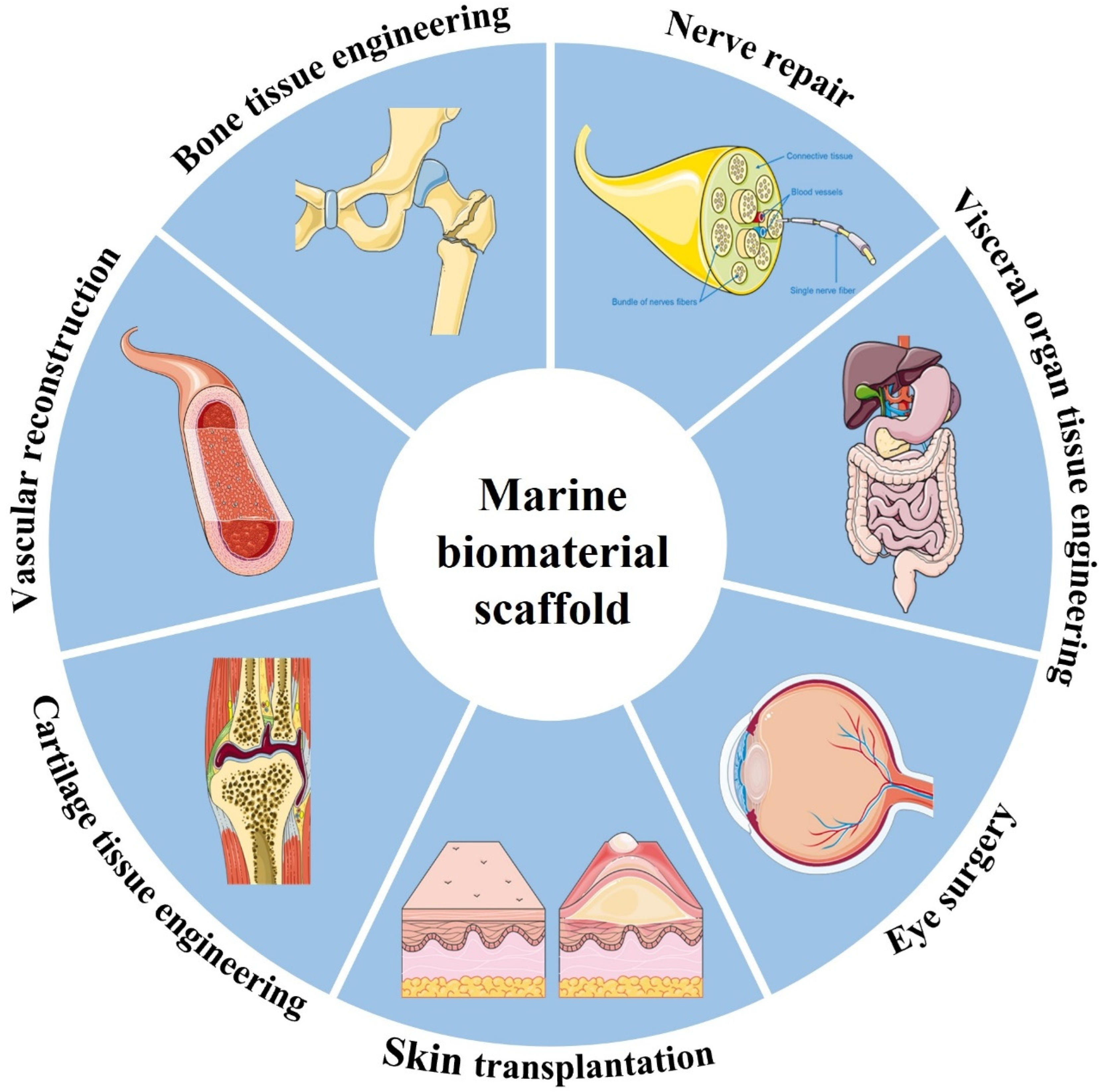 Marinedrugs 20 00372 g008