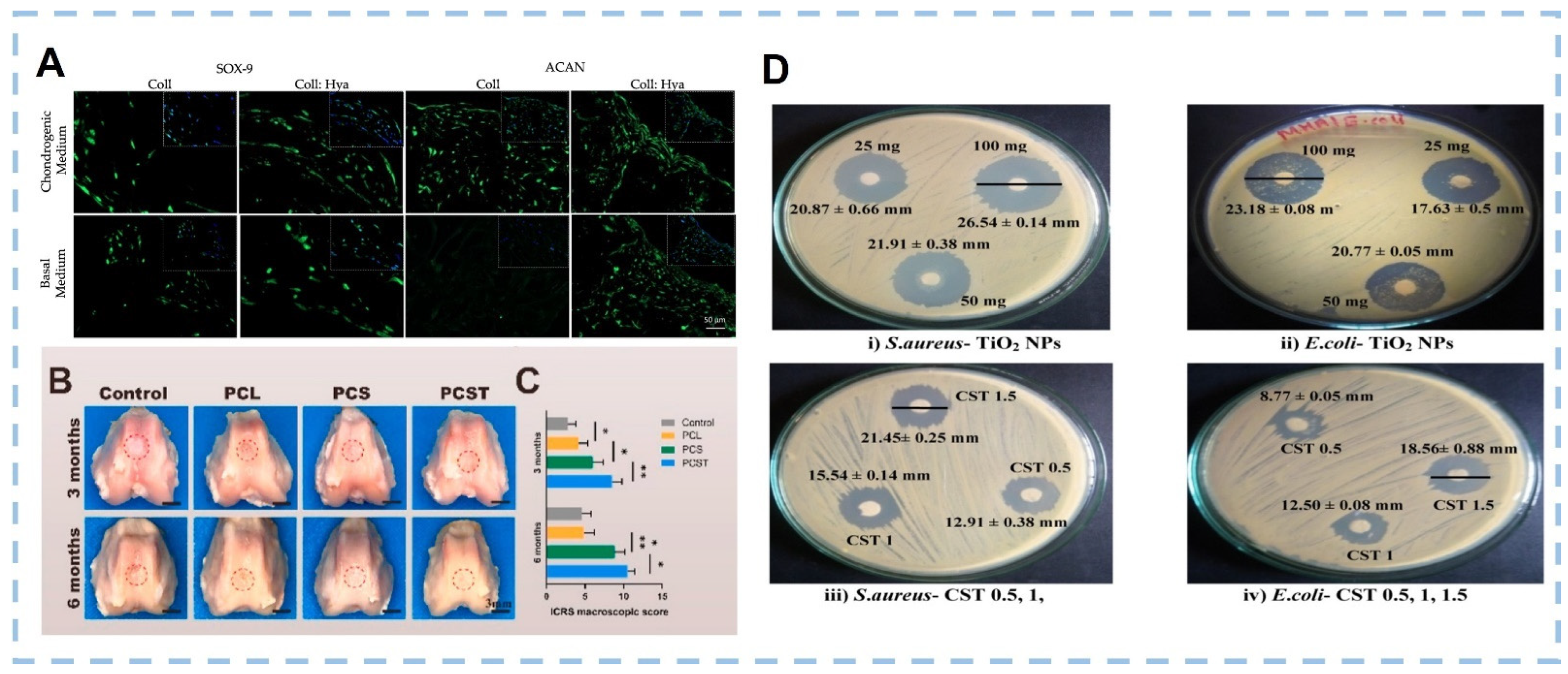 Marinedrugs 20 00372 g009