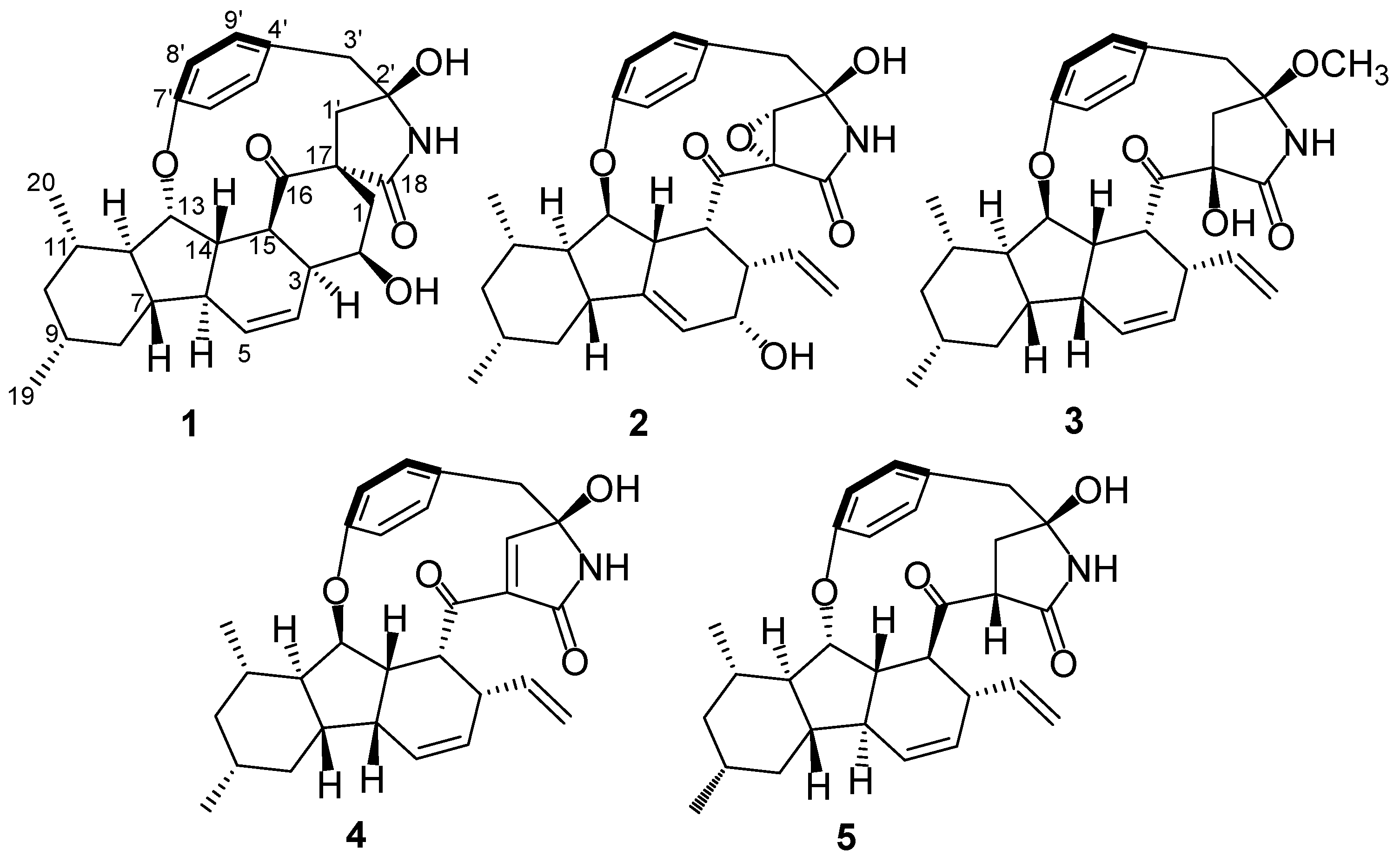 Marinedrugs 20 00375 g001