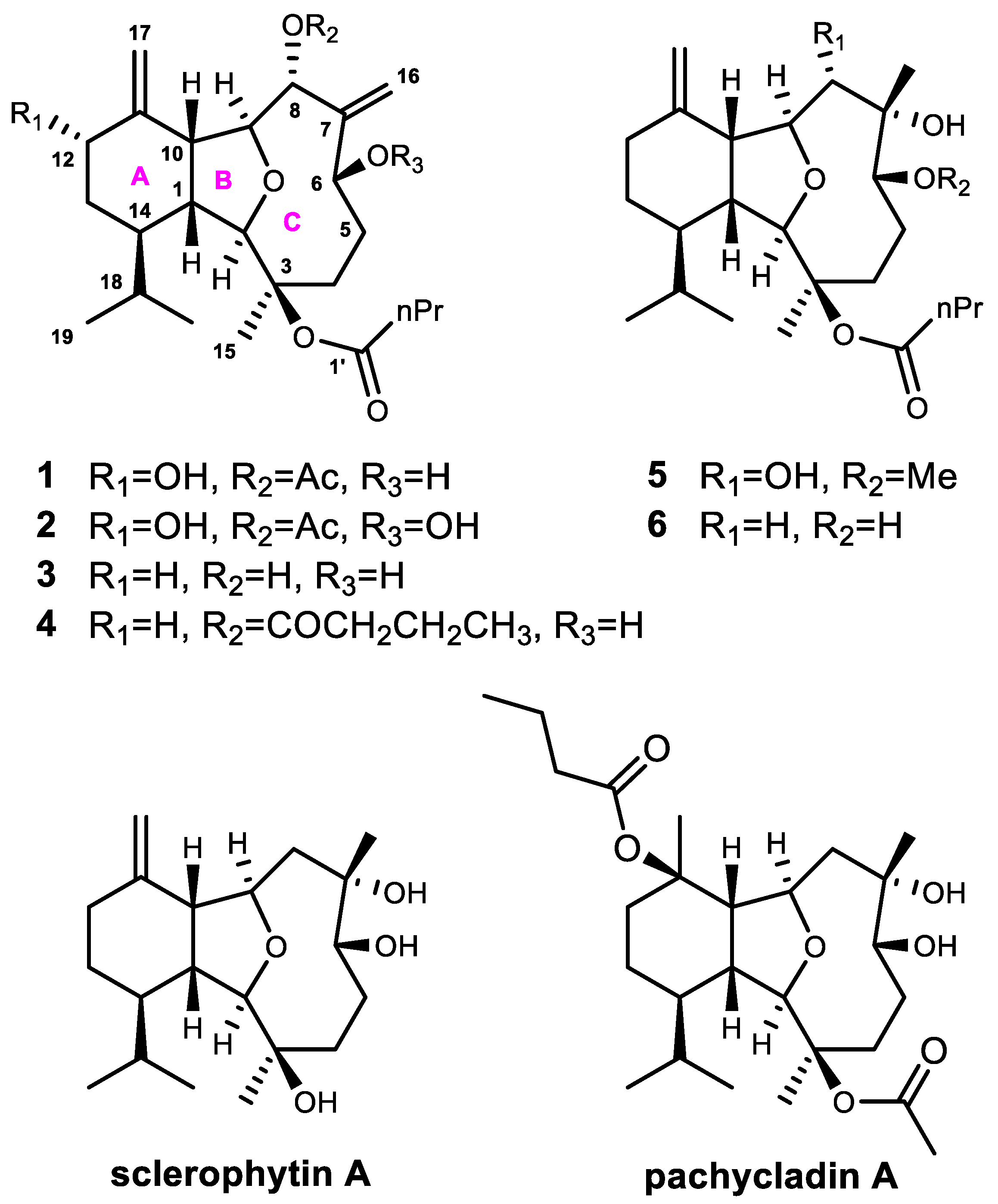 Marinedrugs 20 00381 g001