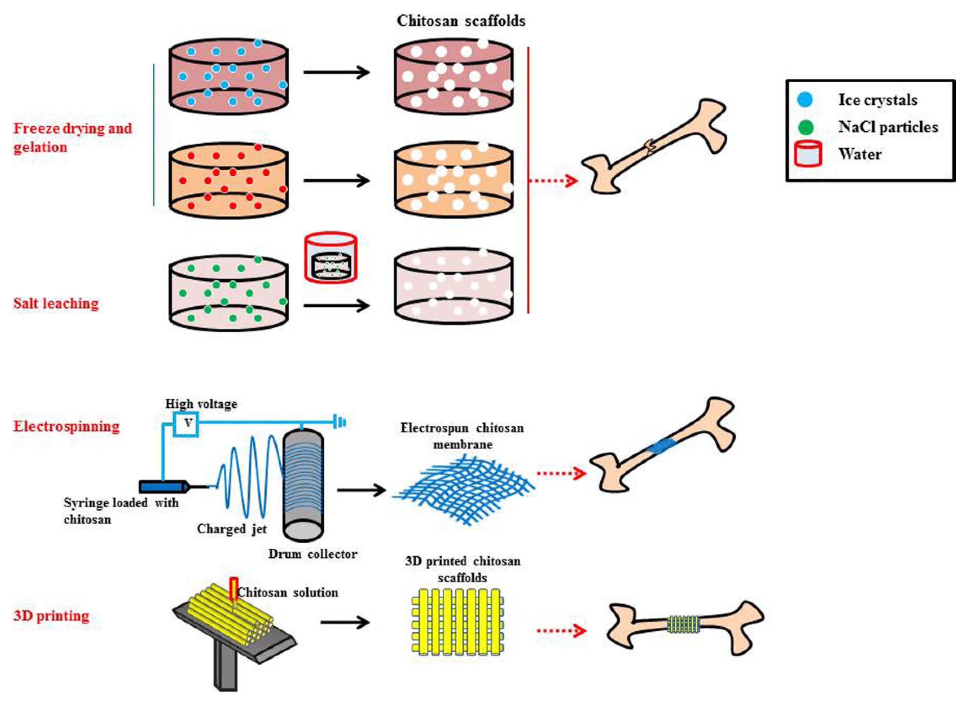 Marinedrugs 20 00396 g002