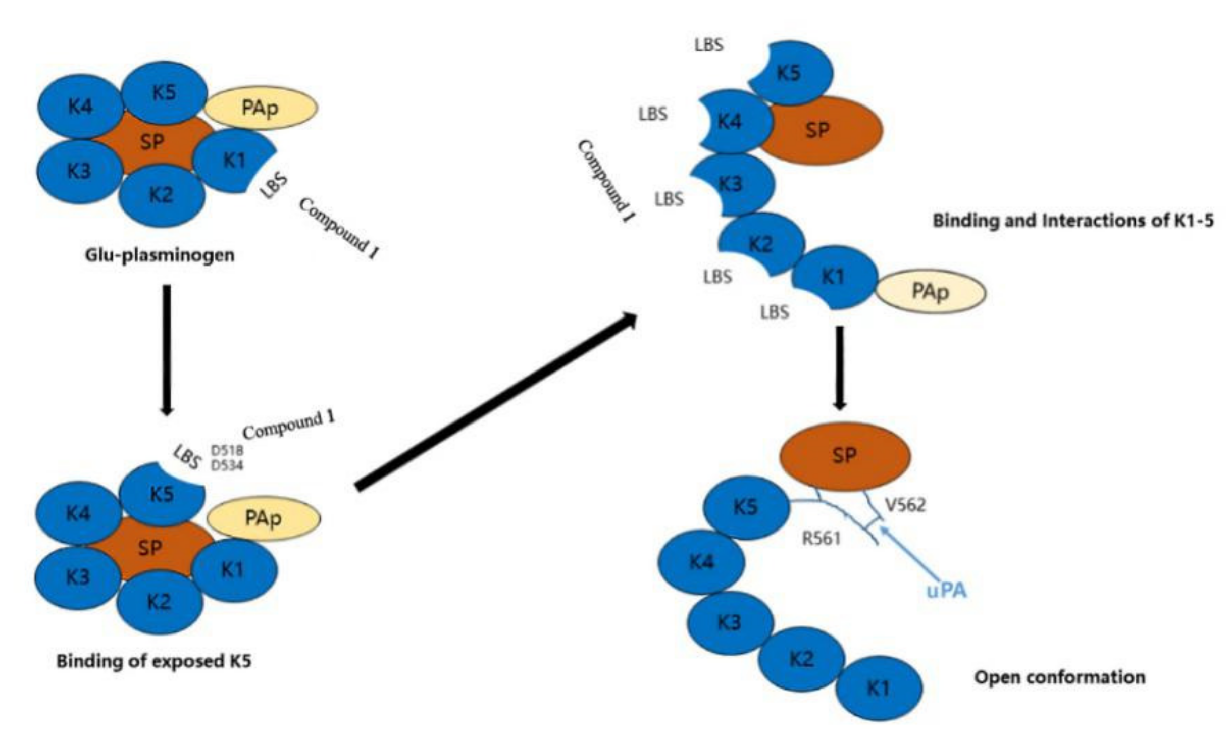 Marinedrugs 20 00405 g003
