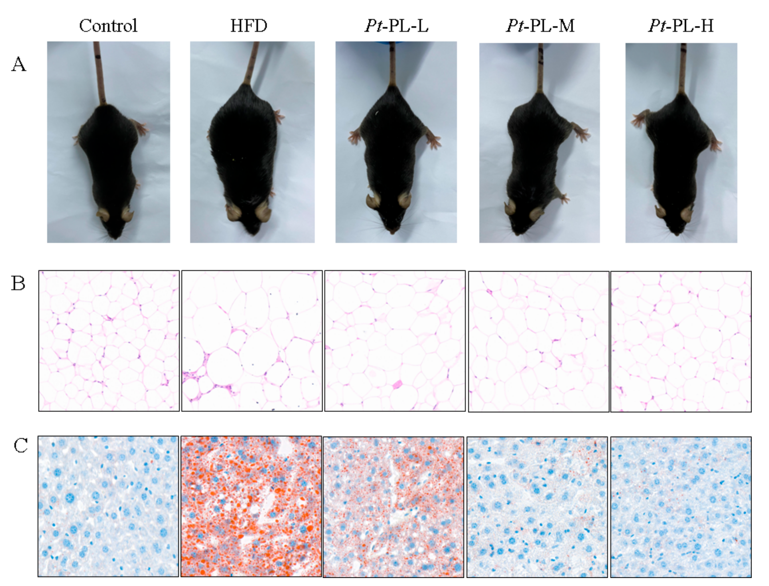 Marinedrugs 20 00411 g001