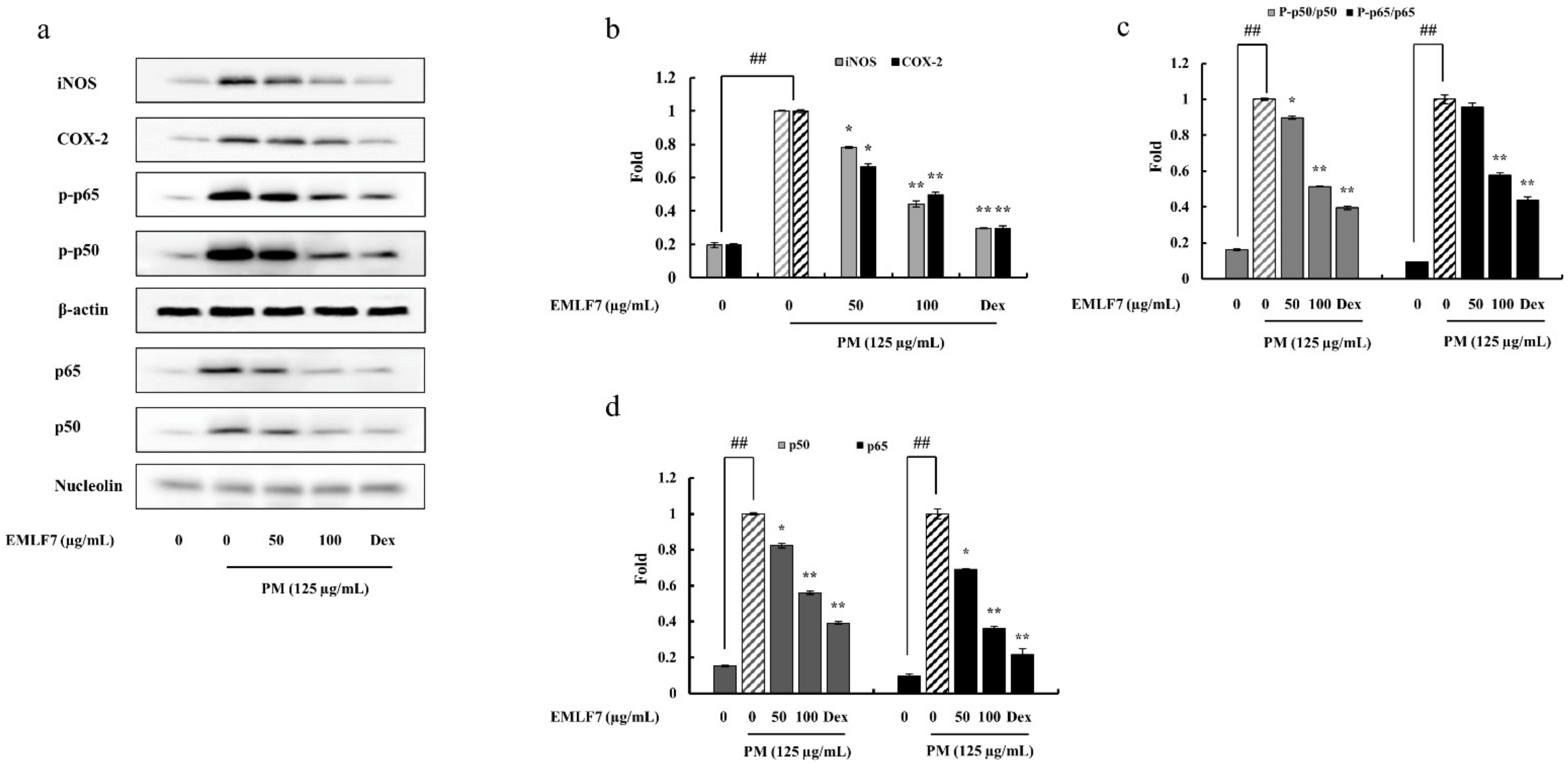 Marinedrugs 20 00413 g006