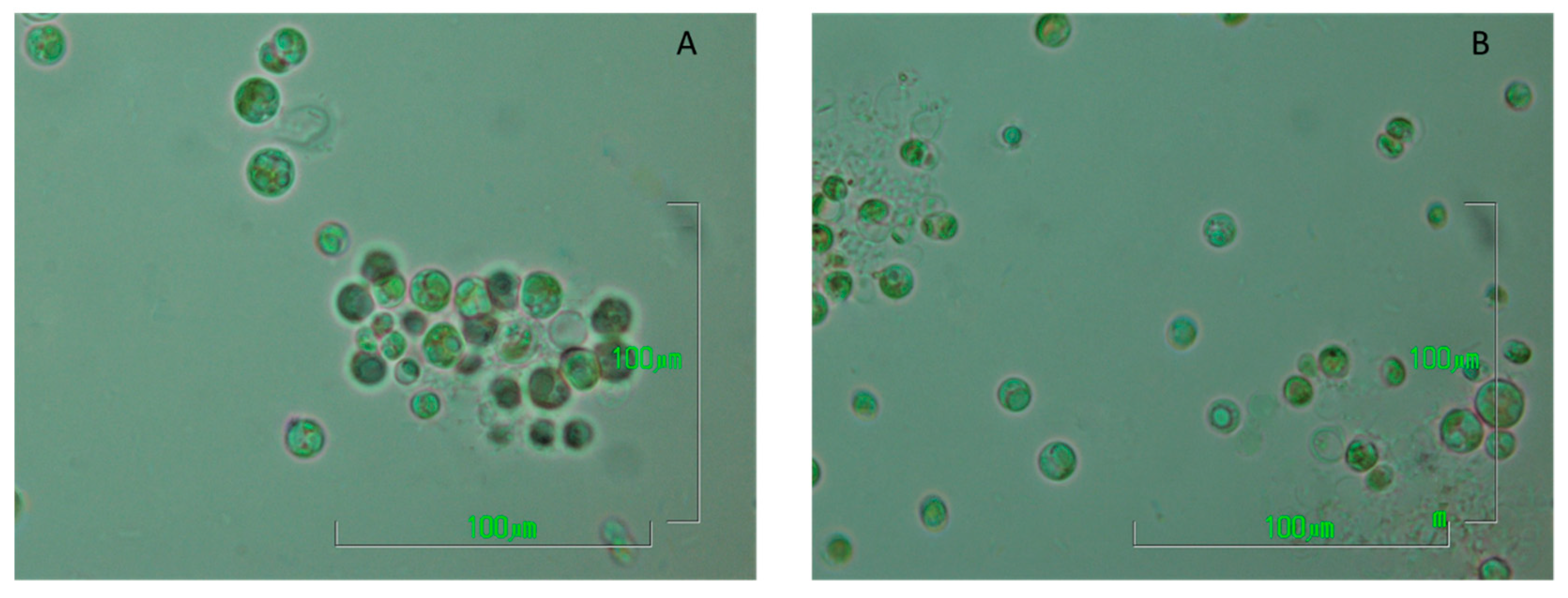 Marinedrugs 20 00415 g005