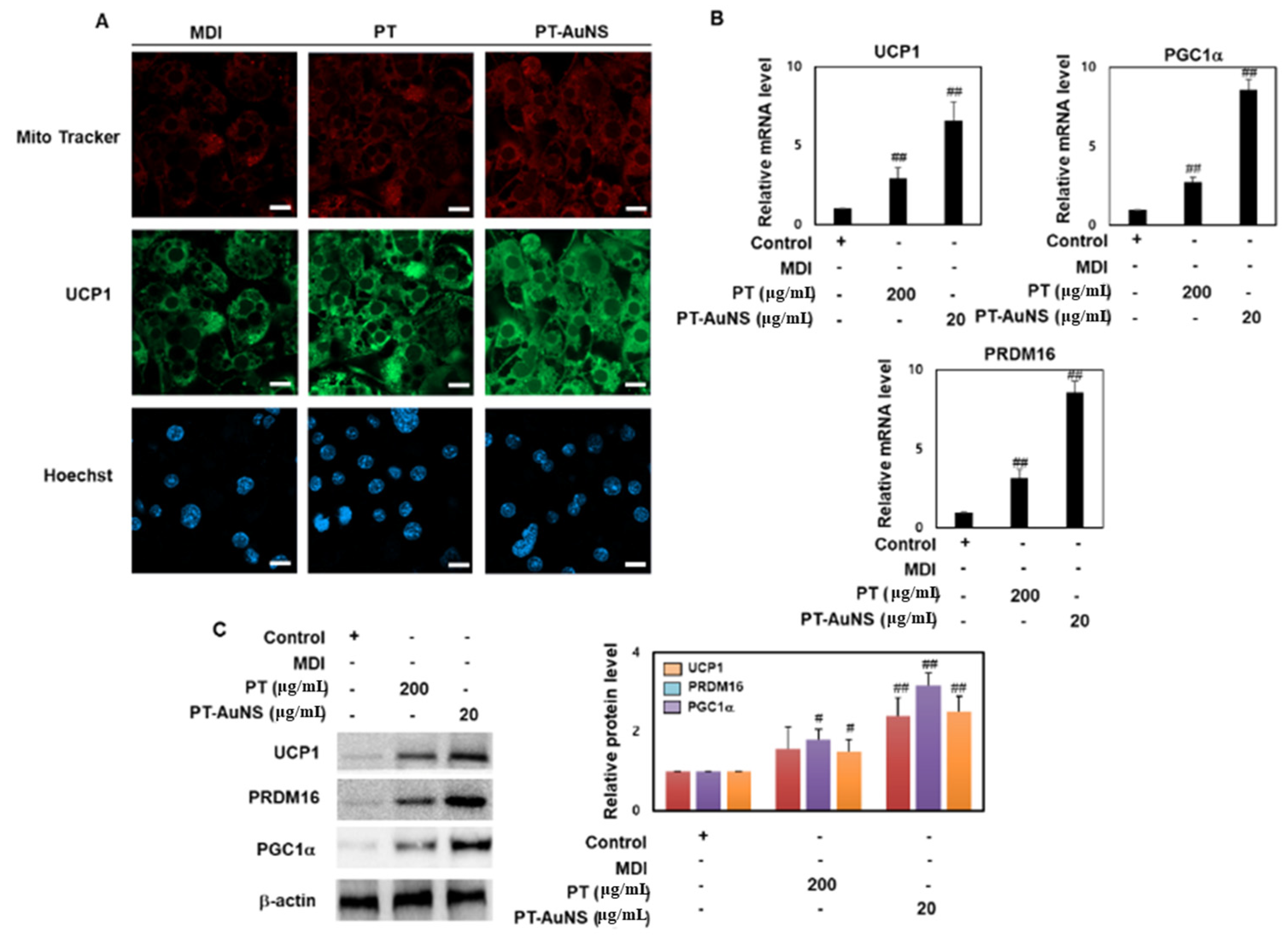 Marinedrugs 20 00421 g005