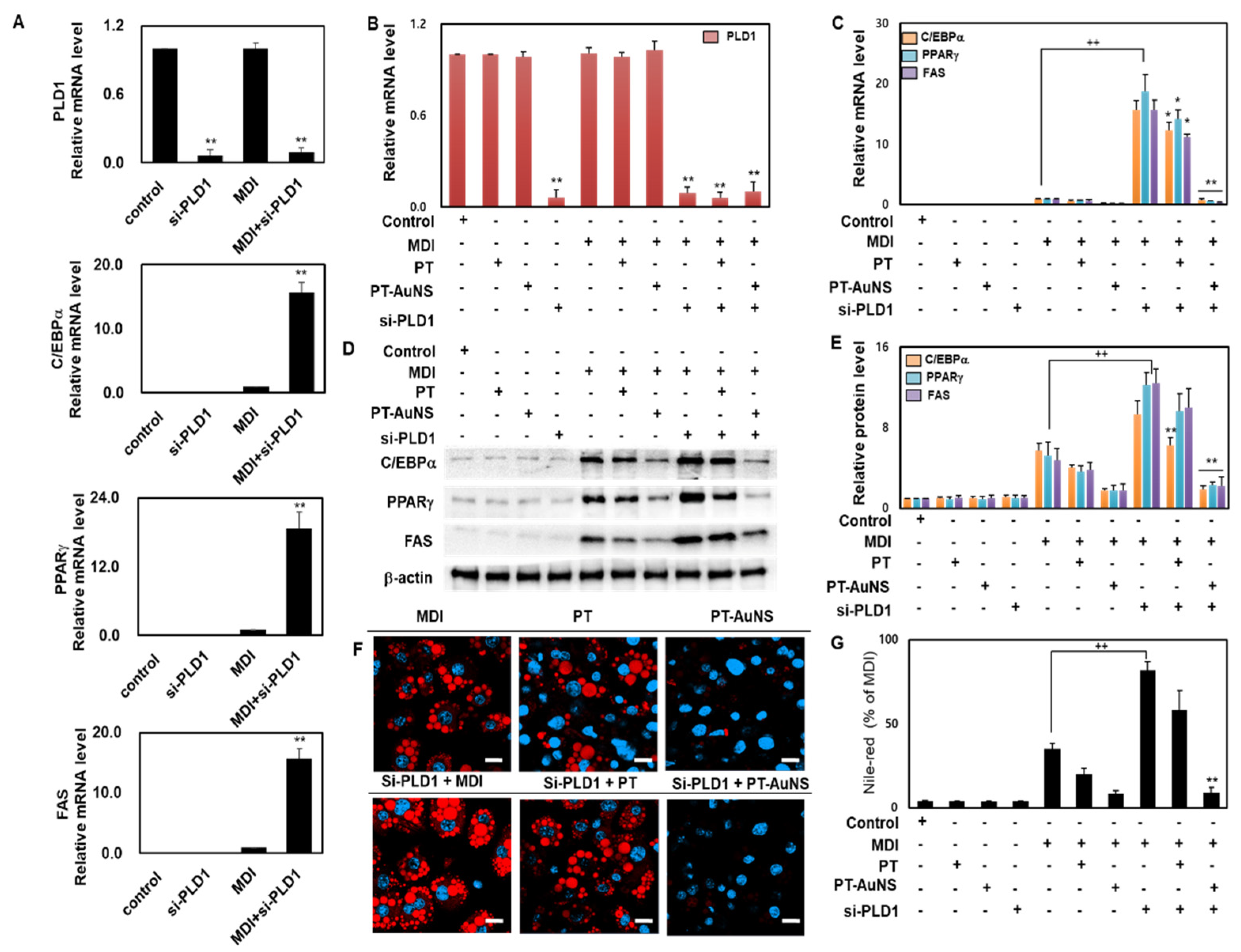 Marinedrugs 20 00421 g006