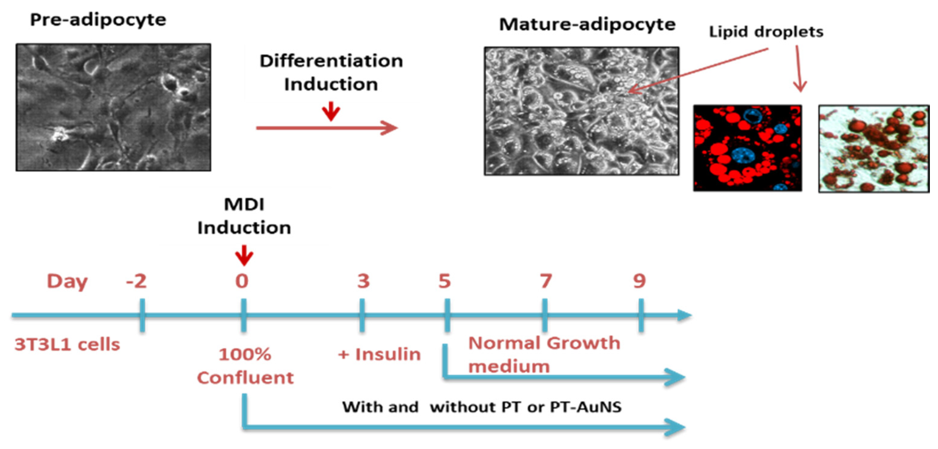 Marinedrugs 20 00421 g007