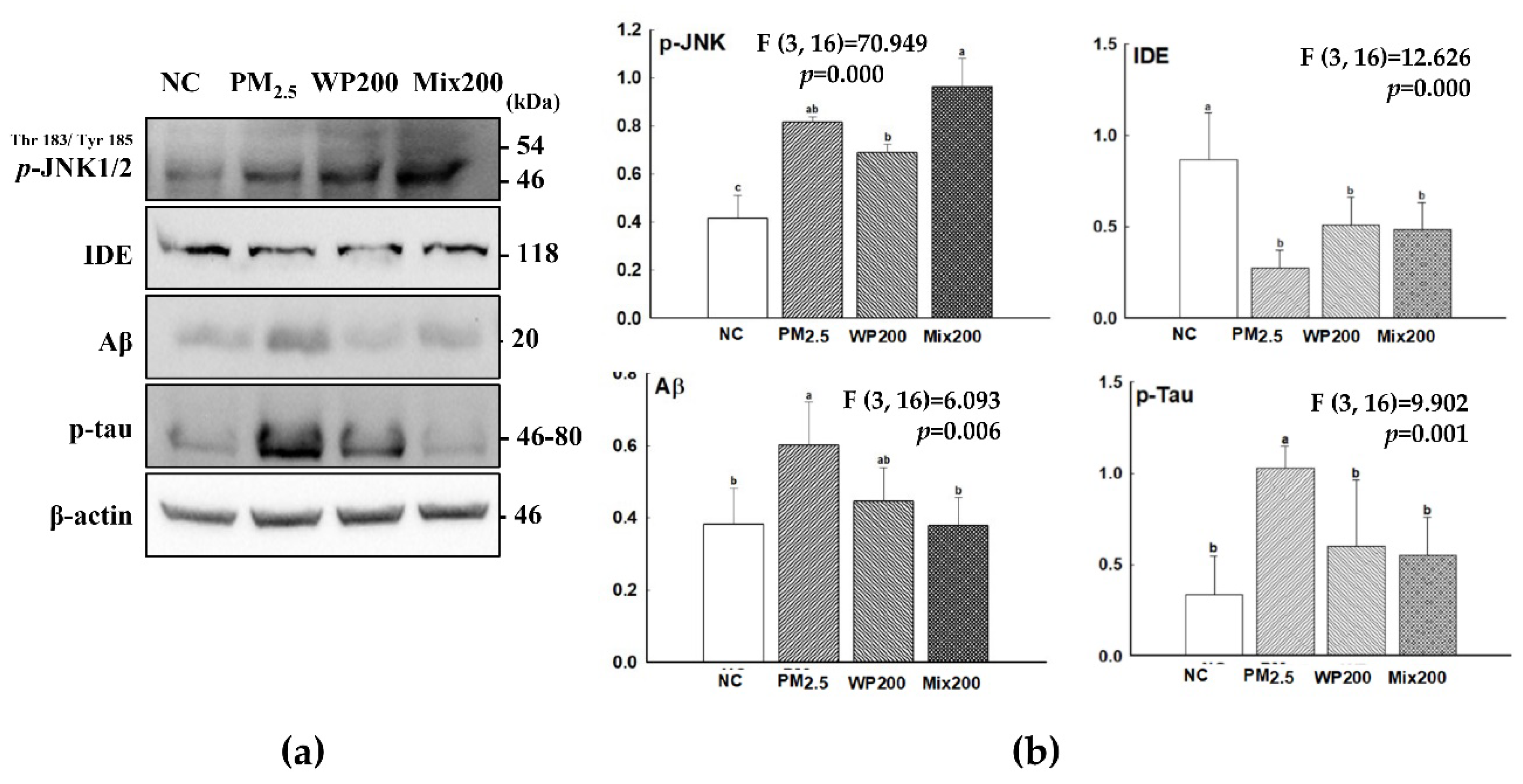 Marinedrugs 20 00439 g004