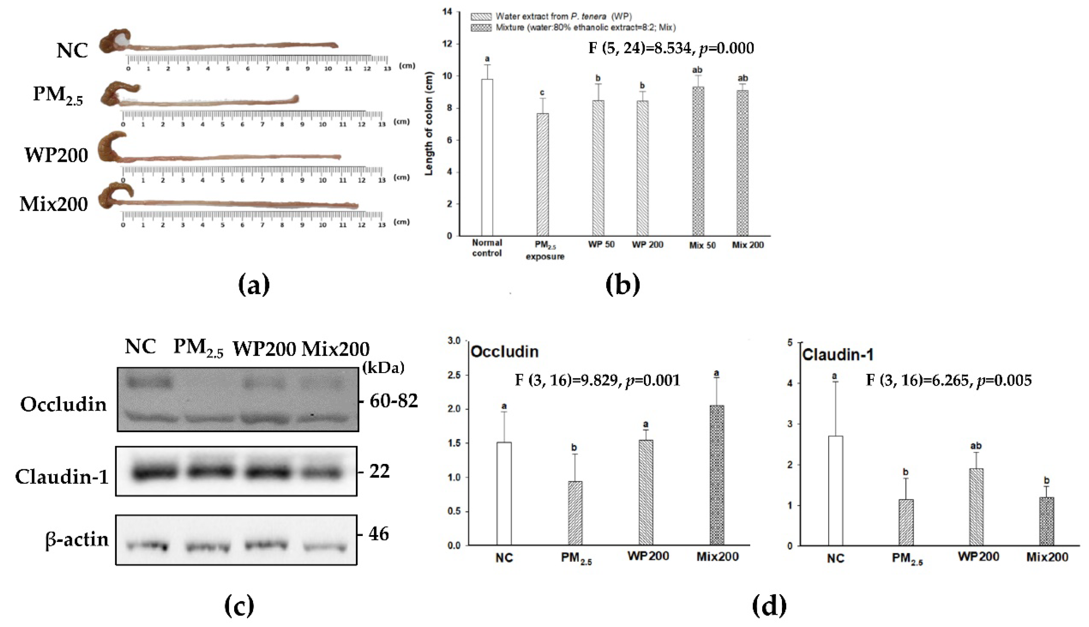 Marinedrugs 20 00439 g007