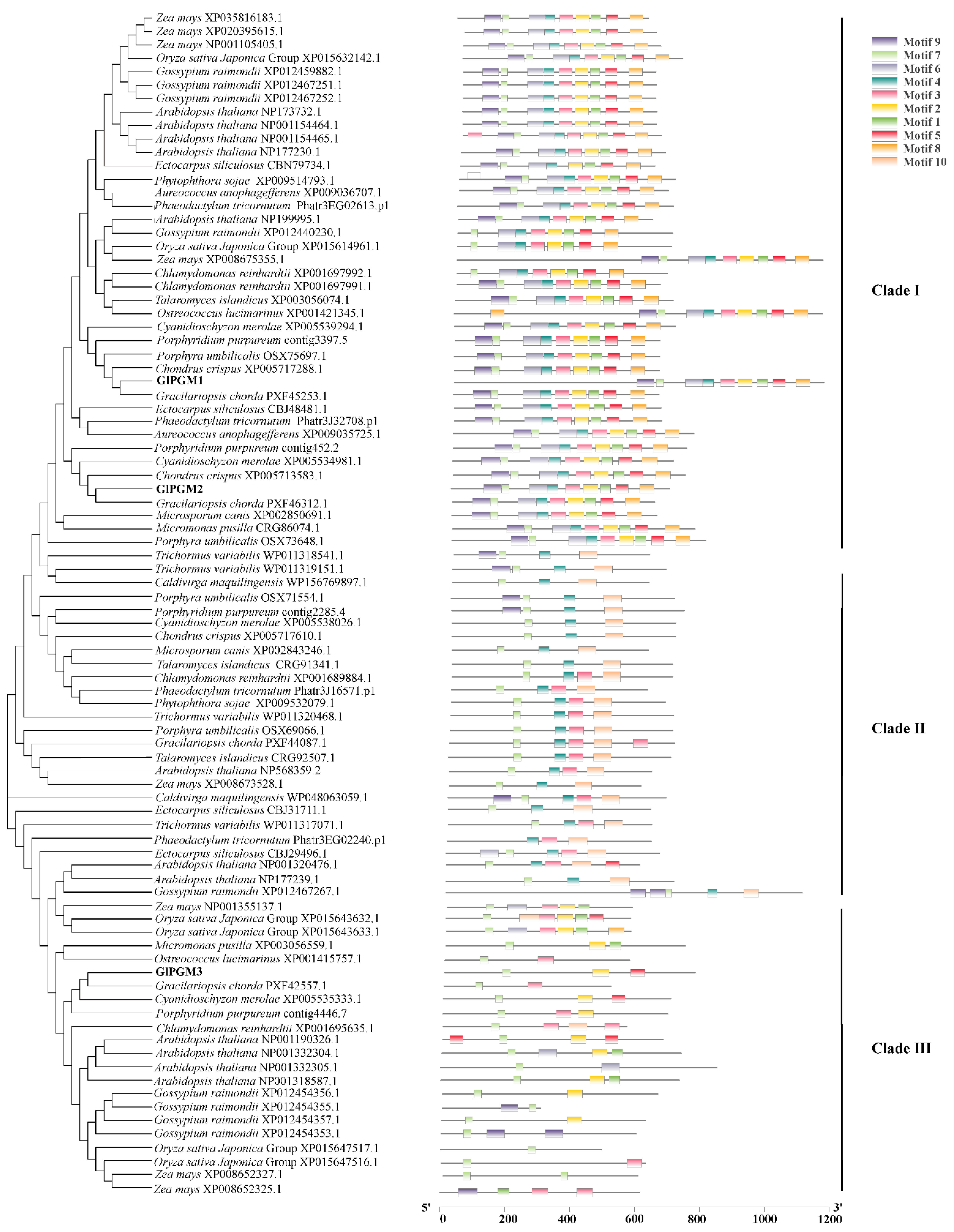 Marinedrugs 20 00442 g001
