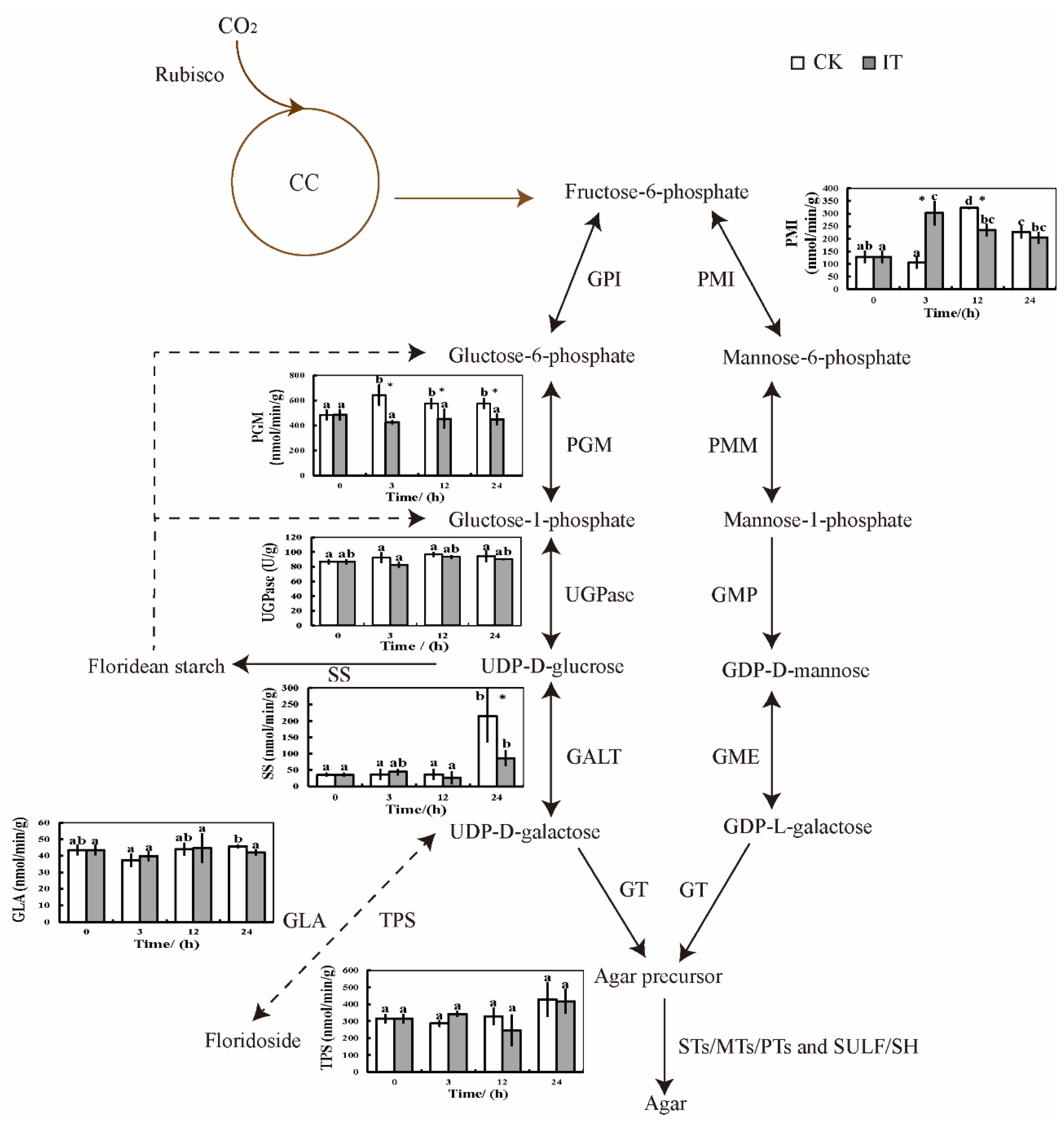 Marinedrugs 20 00442 g004