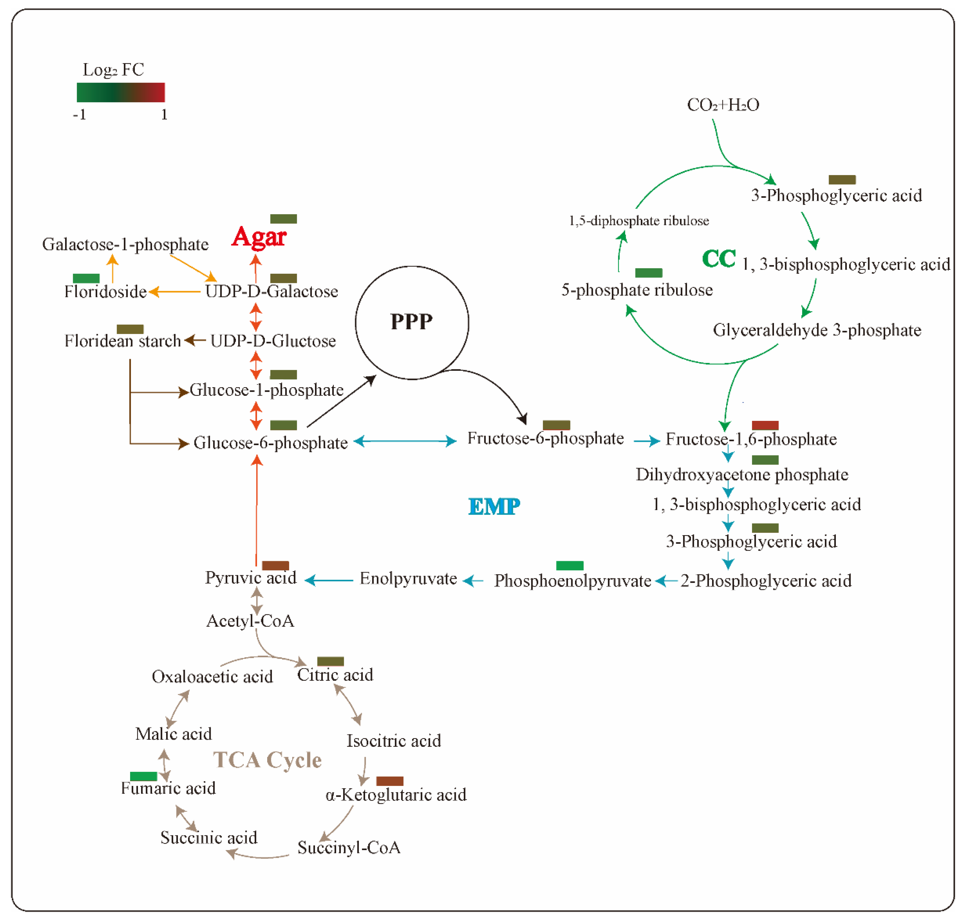 Marinedrugs 20 00442 g006