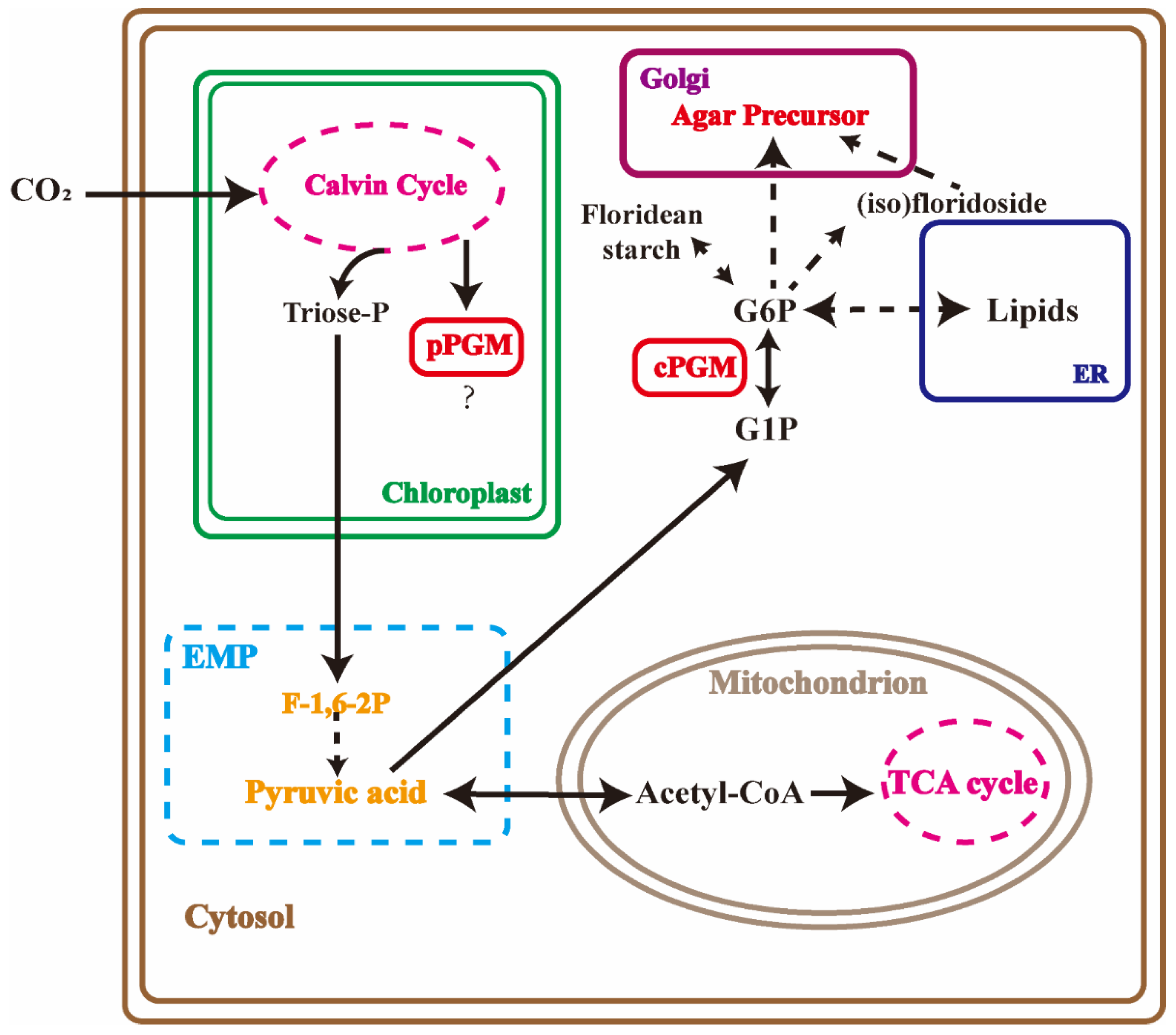 Marinedrugs 20 00442 g007