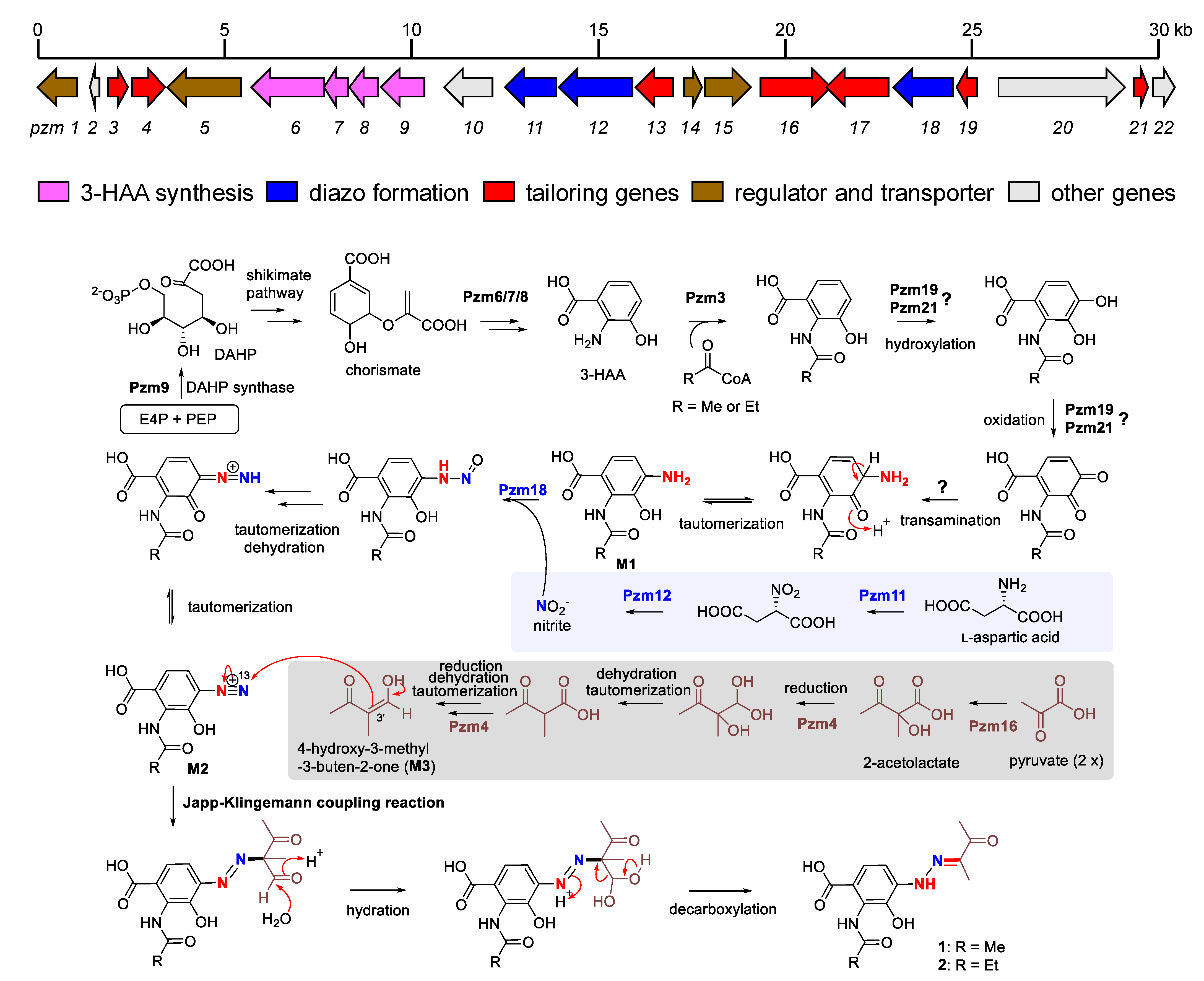 Marinedrugs 20 00449 sch001