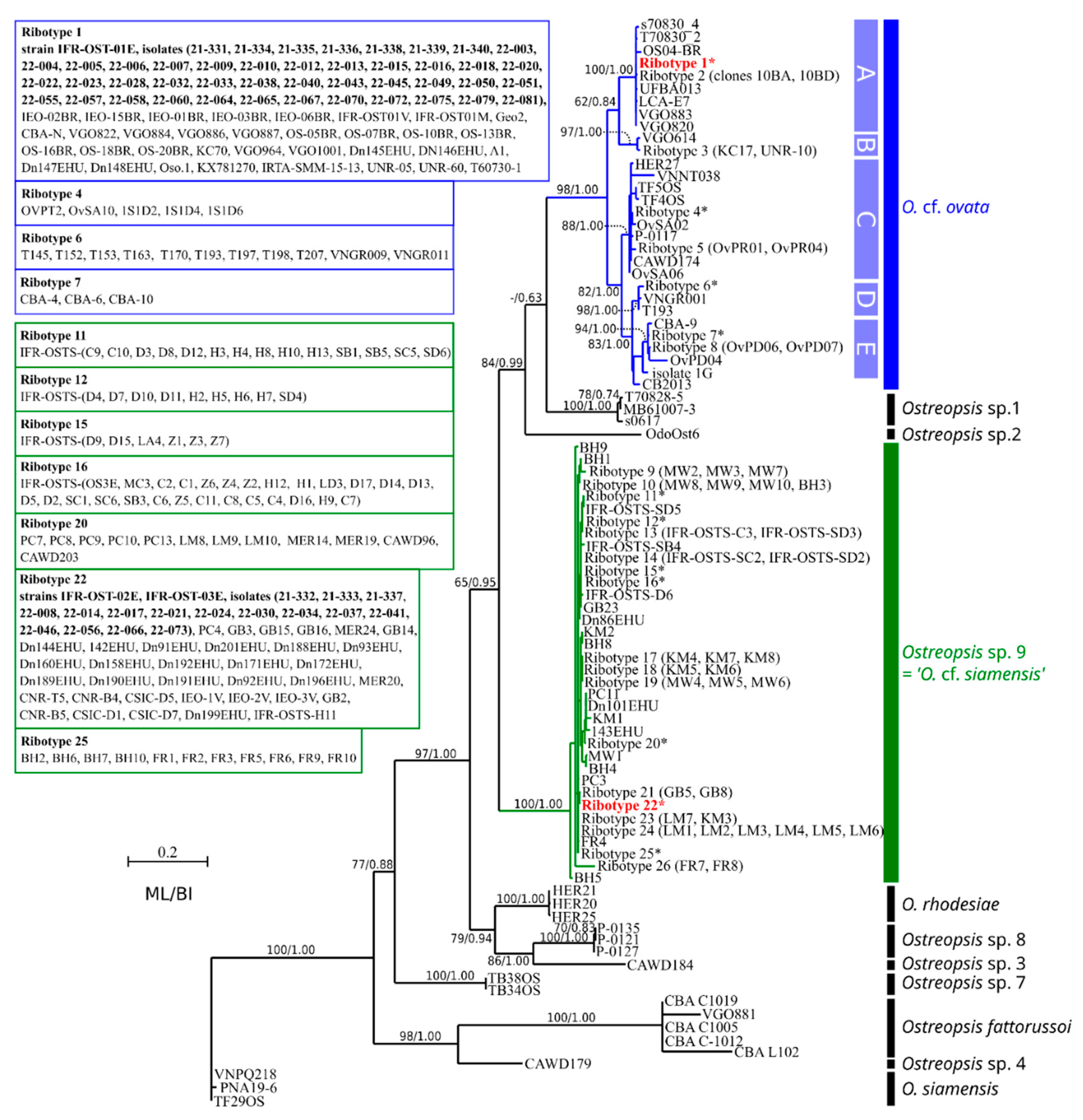 Marinedrugs 20 00461 g008