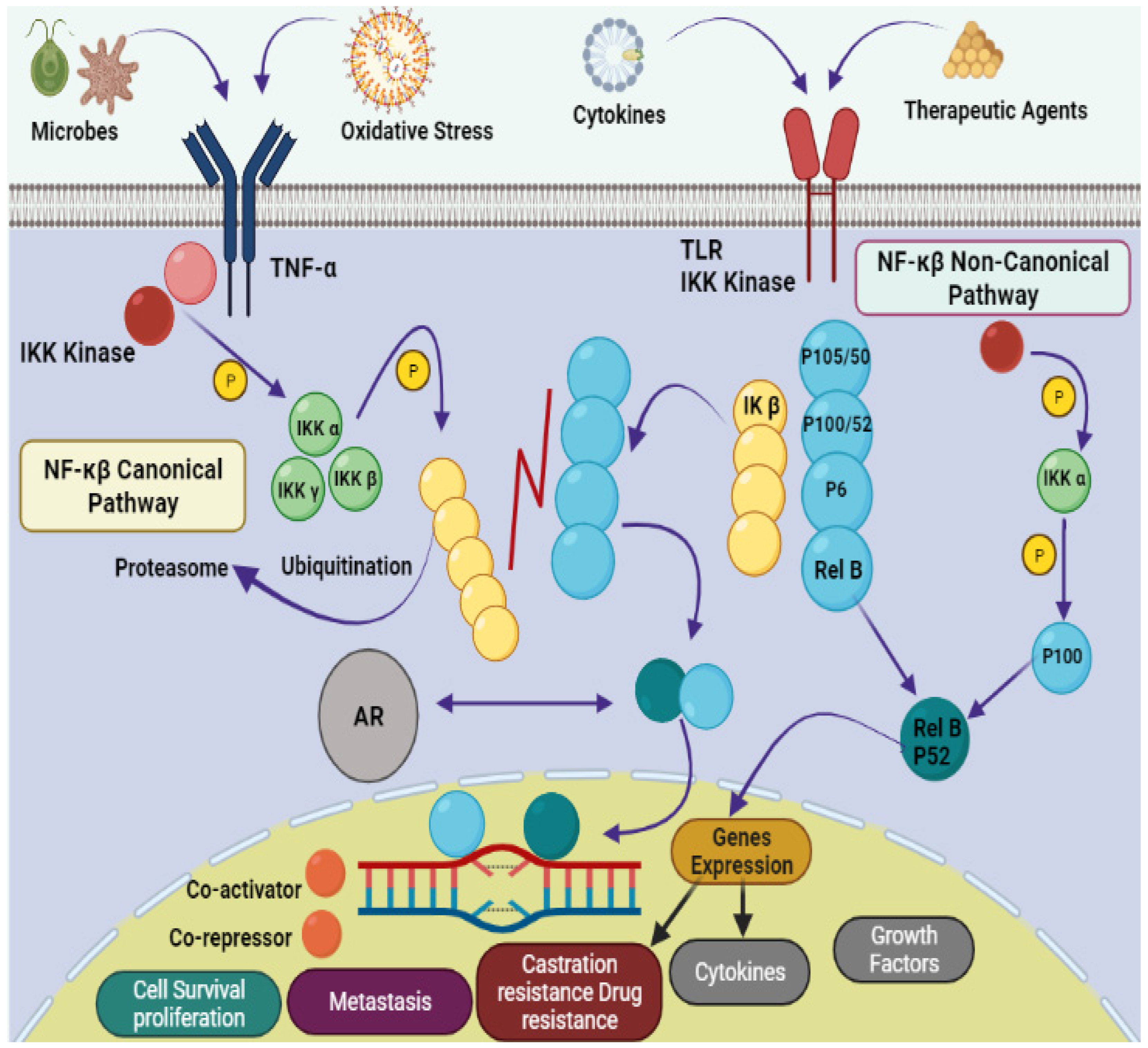 Marinedrugs 20 00466 g001