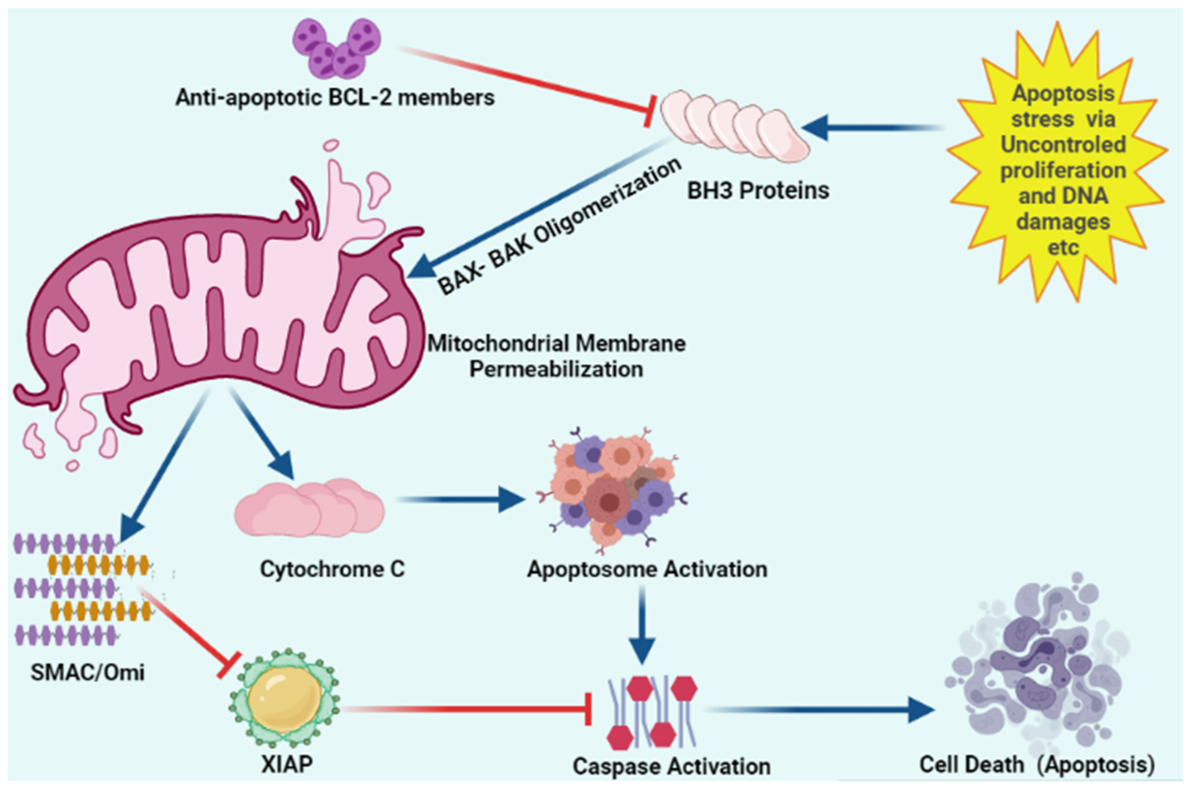 Marinedrugs 20 00466 g003