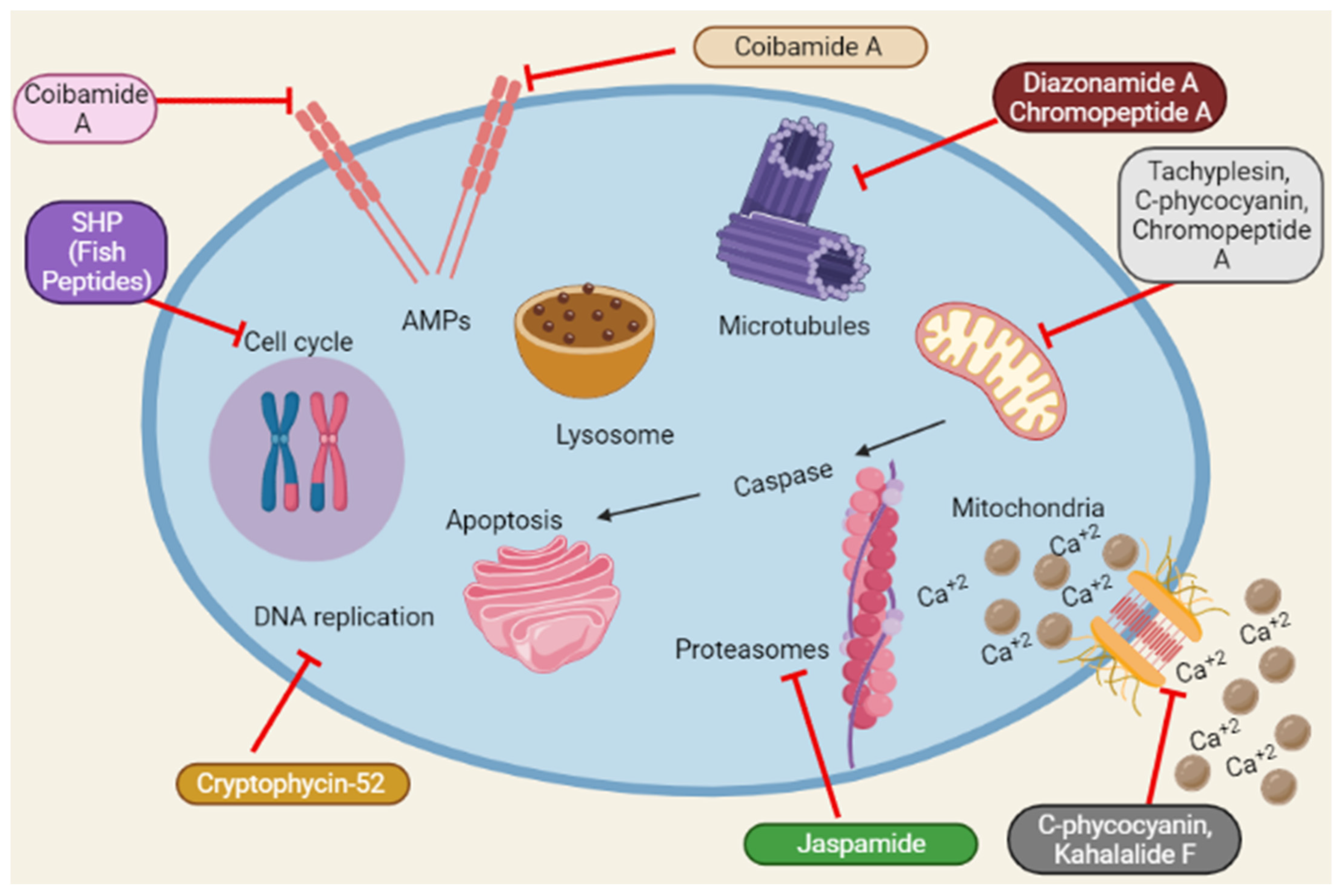 Marinedrugs 20 00466 g004