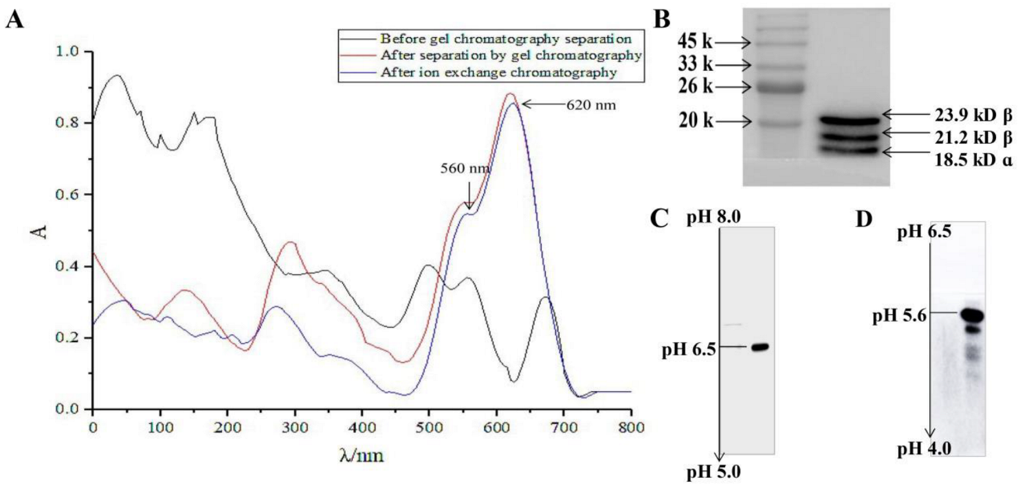 Marinedrugs 20 00468 g001