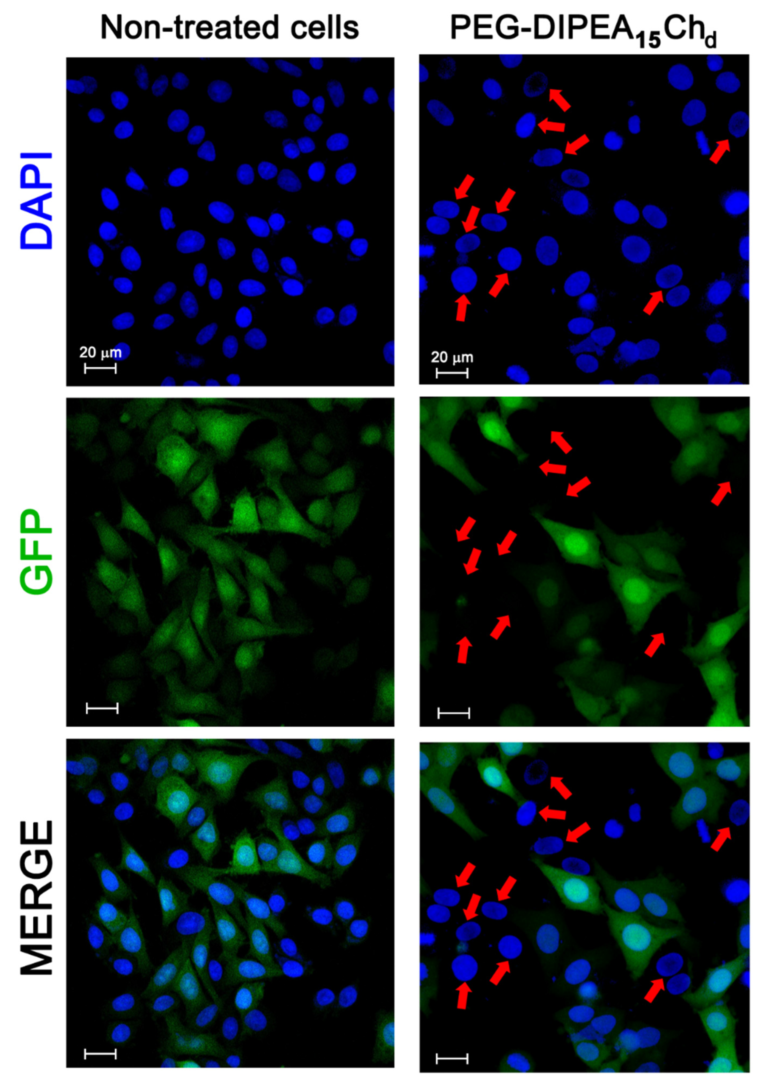 Marinedrugs 20 00476 g009